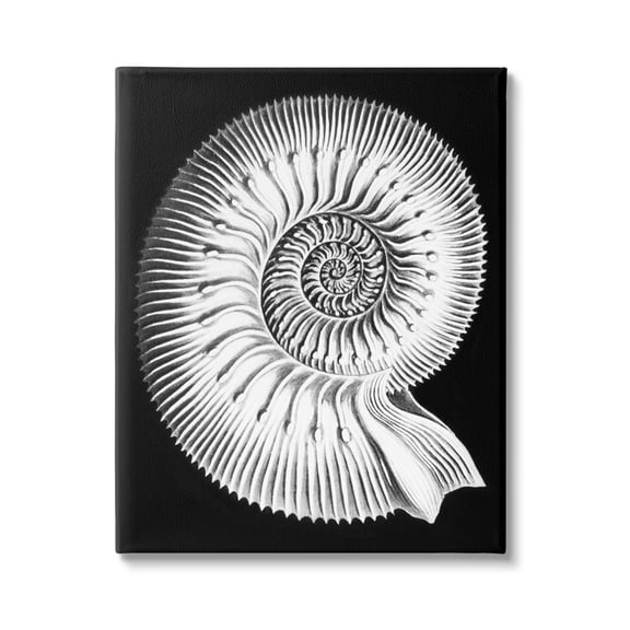 Stupell Industries Spiral Sea Life Beach Shell Modern Fractal Graphic Art Gallery Wrapped Canvas Print Wall Art, Design by Graffitee Studios