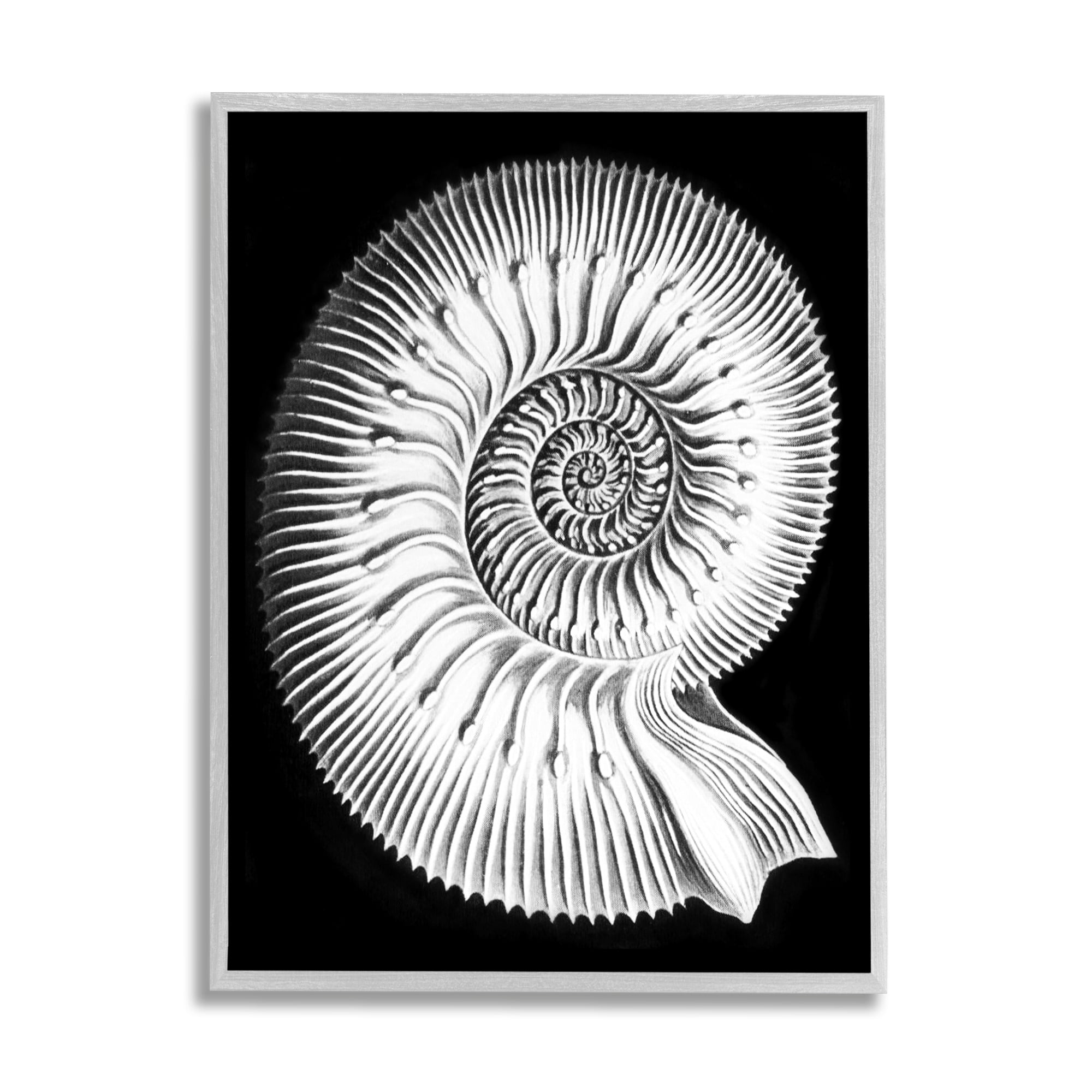Stupell Industries Spiral Sea Life Beach Shell Modern Fractal Graphic Art Gray Framed Art Print Wall Art, Design by Graffitee Studios
