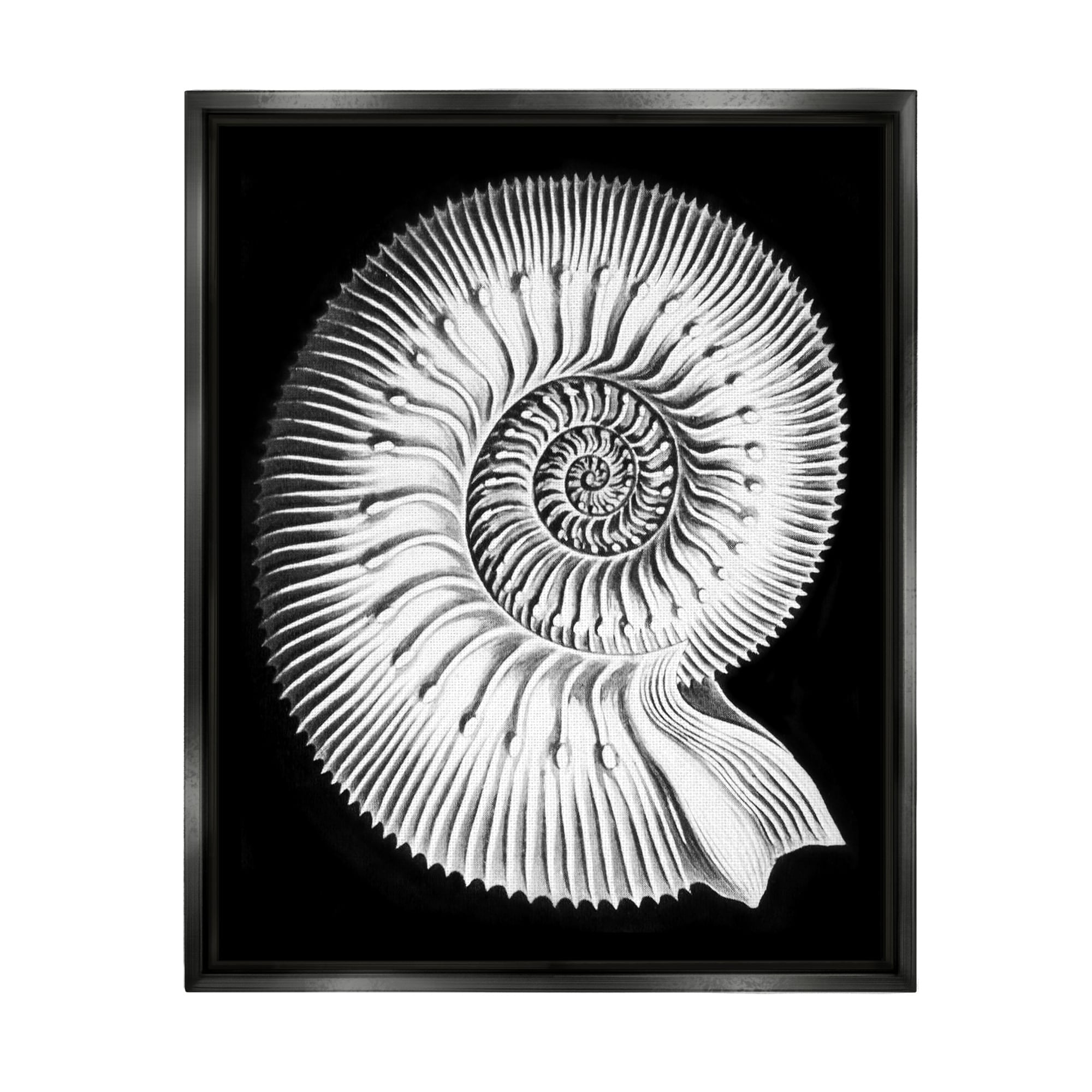 Stupell Industries Spiral Sea Life Beach Shell Modern Fractal Graphic Art Jet Black Floating Framed Canvas Print Wall Art, Design by Graffitee Studios