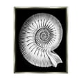 thumbnail image 1 of Stupell Industries Spiral Sea Life Beach Shell Modern Fractal Graphic Art Luster Gray Floating Framed Canvas Print Wall Art, Design by Graffitee Studios, 1 of 5