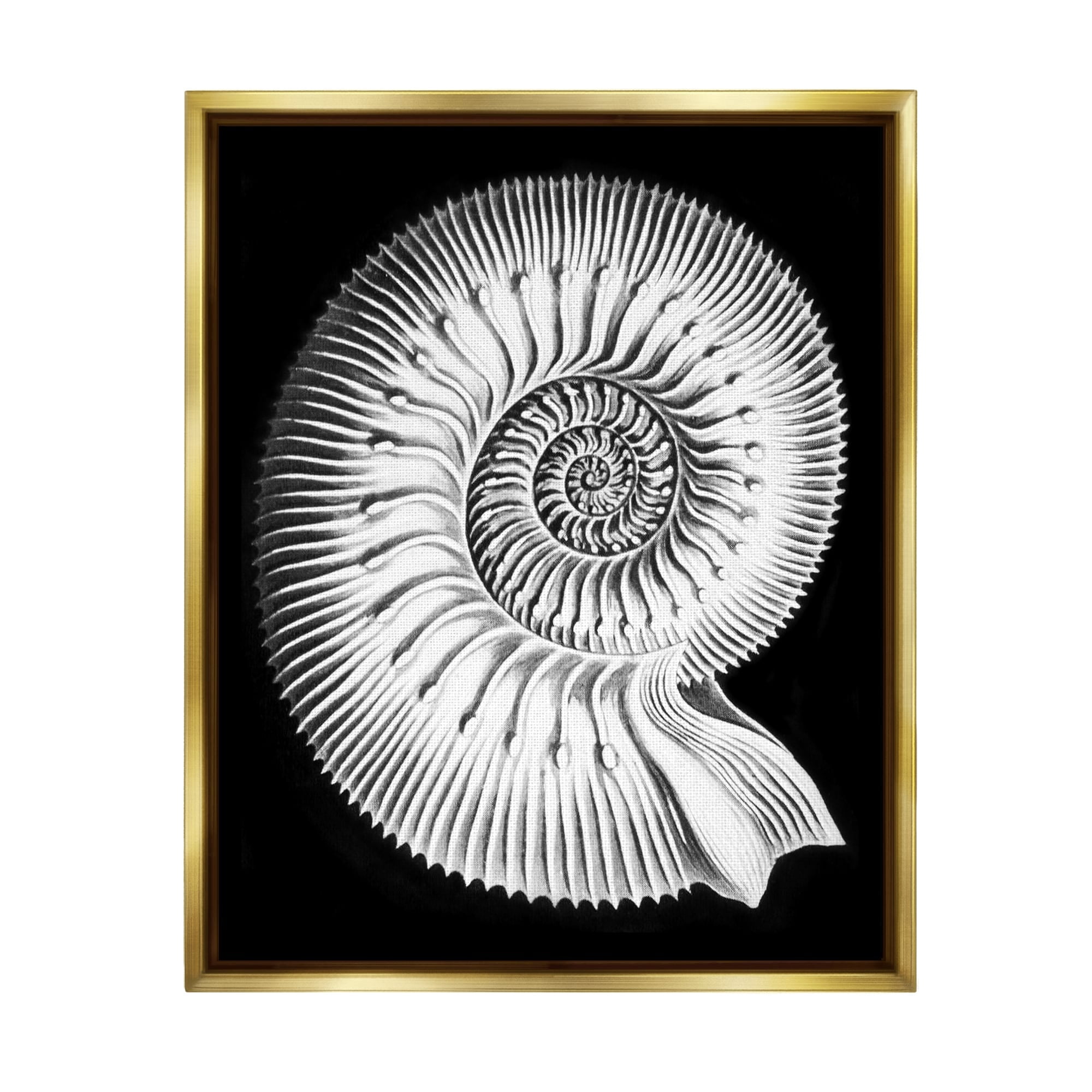 Stupell Industries Spiral Sea Life Beach Shell Modern Fractal Graphic Art Metallic Gold Floating Framed Canvas Print Wall Art, Design by Graffitee Studios