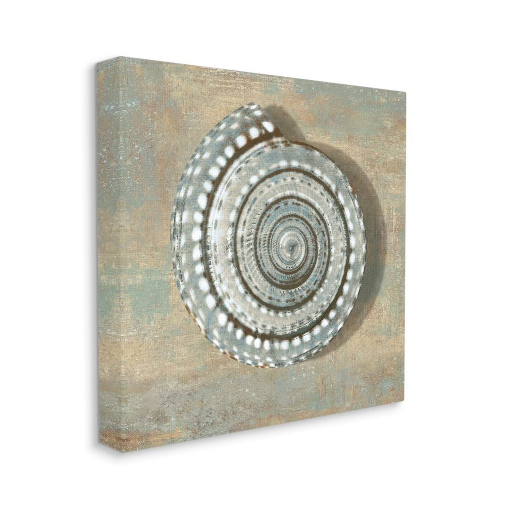 Stupell Industries Spiral Shell Beach Objects Design Canvas Wall Art by Christy McKee