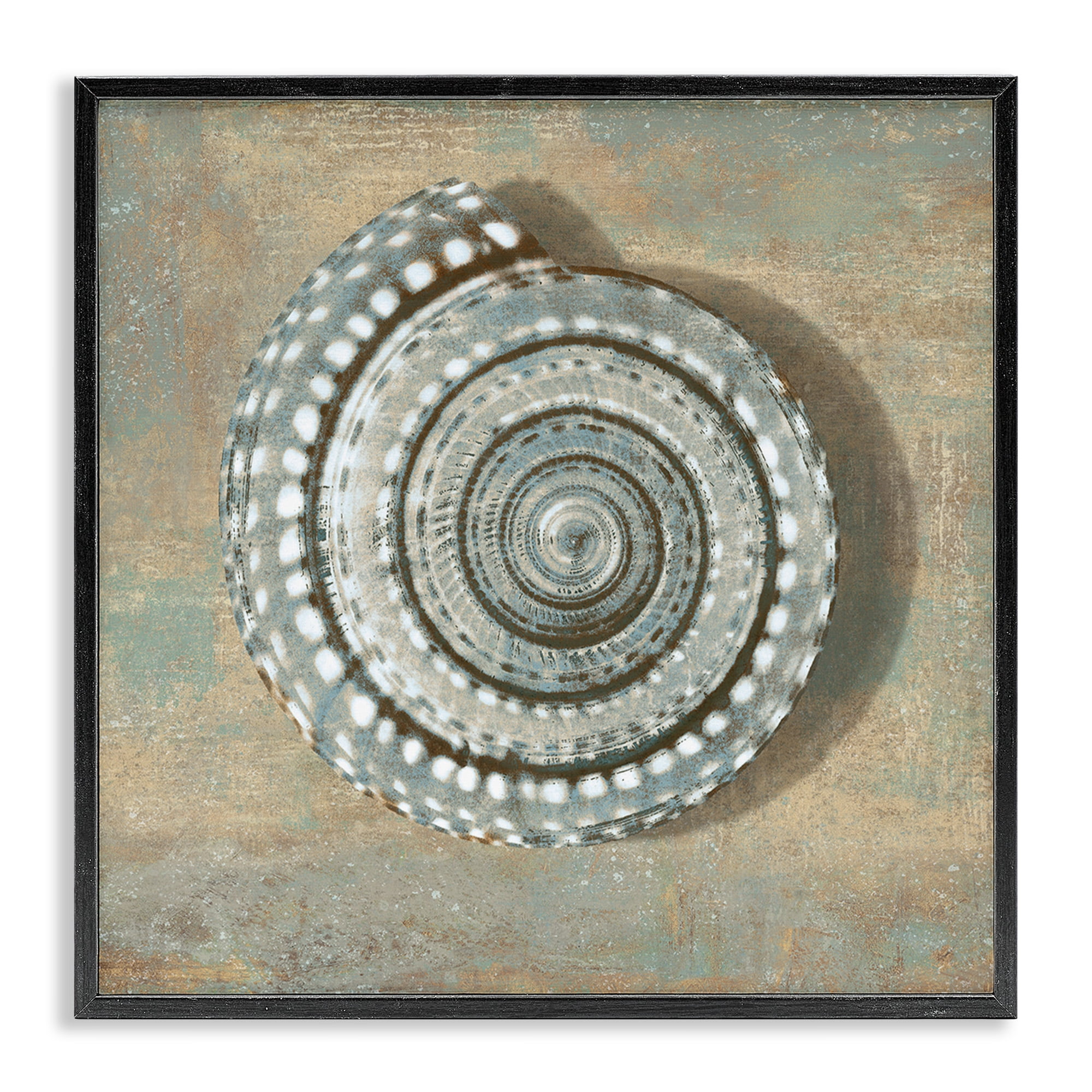 Stupell Industries Spiral Shell Beach Objects Design Nature Painting Black Framed Art Print Wall Art, 17 x 17
