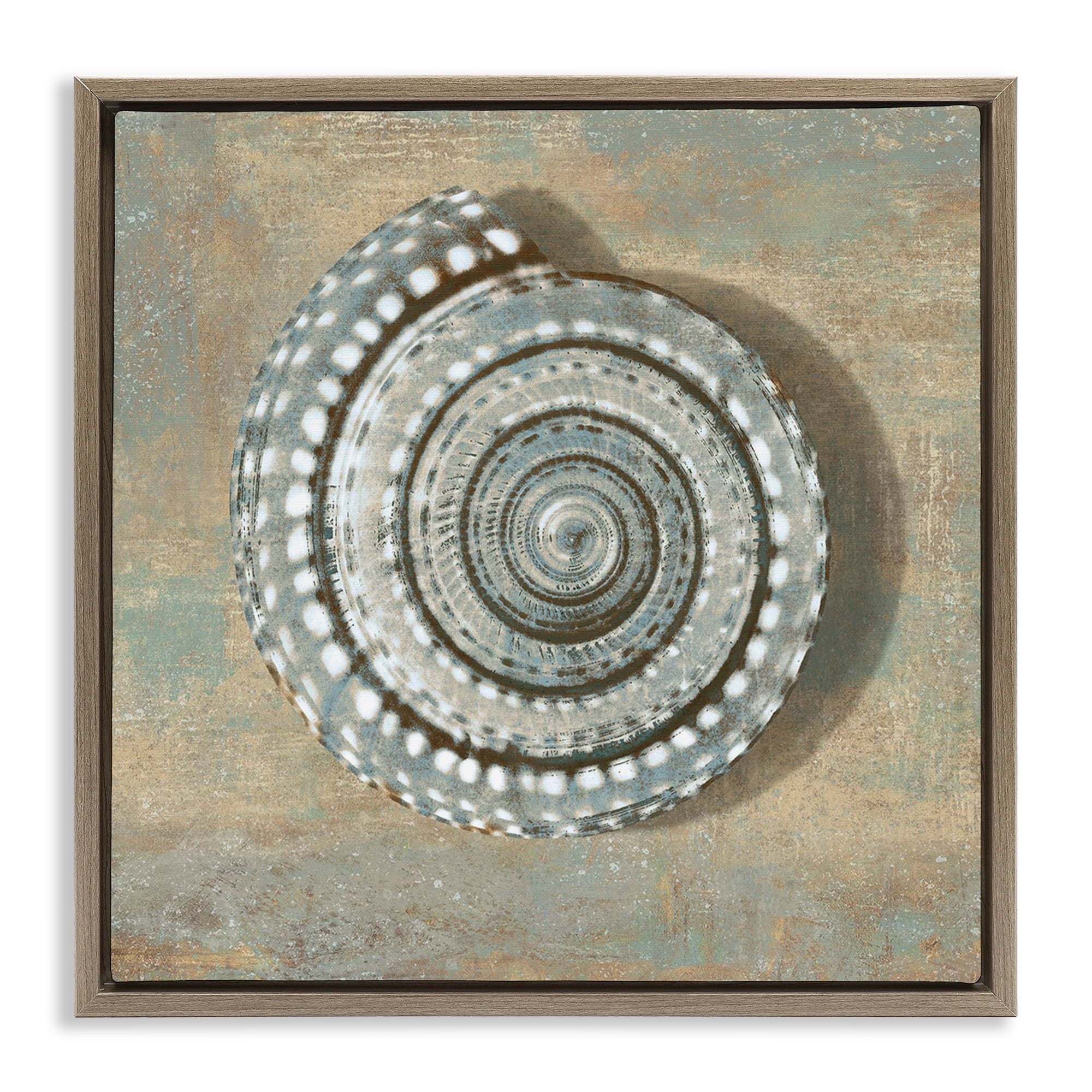 Stupell Industries Spiral Shell Beach Objects Design Nature Painting Brown Floater Framed Canvas Art Print Wall Art, 18 x 18