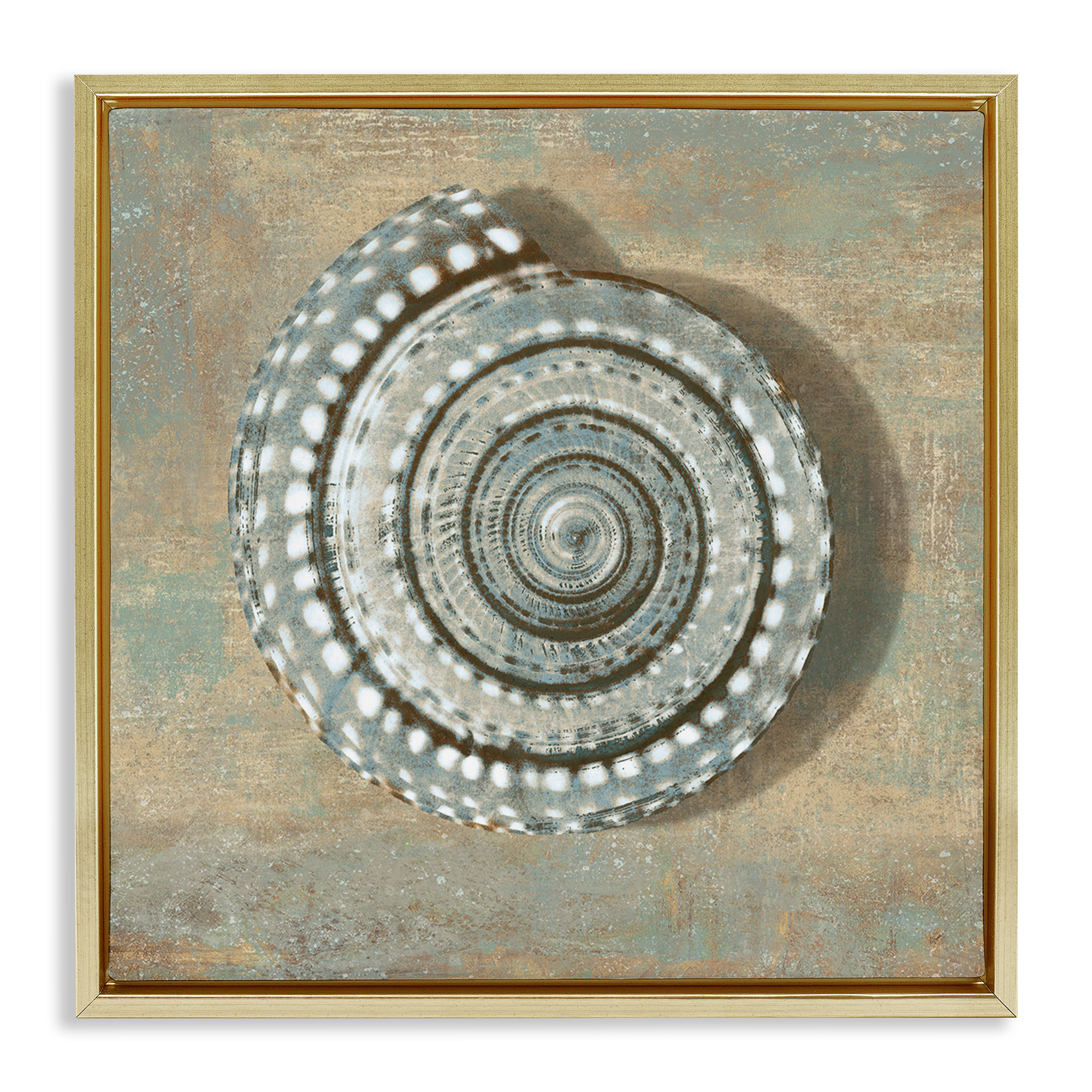 Stupell Industries Spiral Shell Beach Objects Design Nature Painting Gold Floater Framed Canvas Art Print Wall Art, 25 x 25