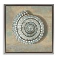 thumbnail image 1 of Stupell Industries Spiral Shell Beach Objects Design Nature Painting Gray Floater Framed Canvas Art Print Wall Art, 25 x 25, 1 of 9