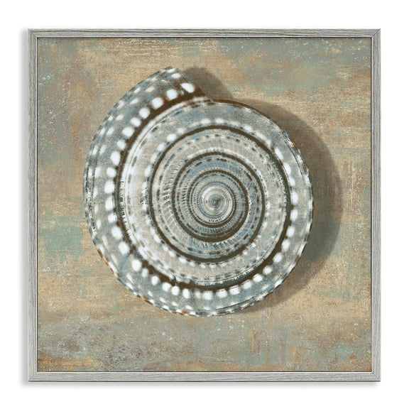 Stupell Industries Spiral Shell Beach Objects Design Nature Painting Gray Framed Art Print Wall Art, 12 x 12
