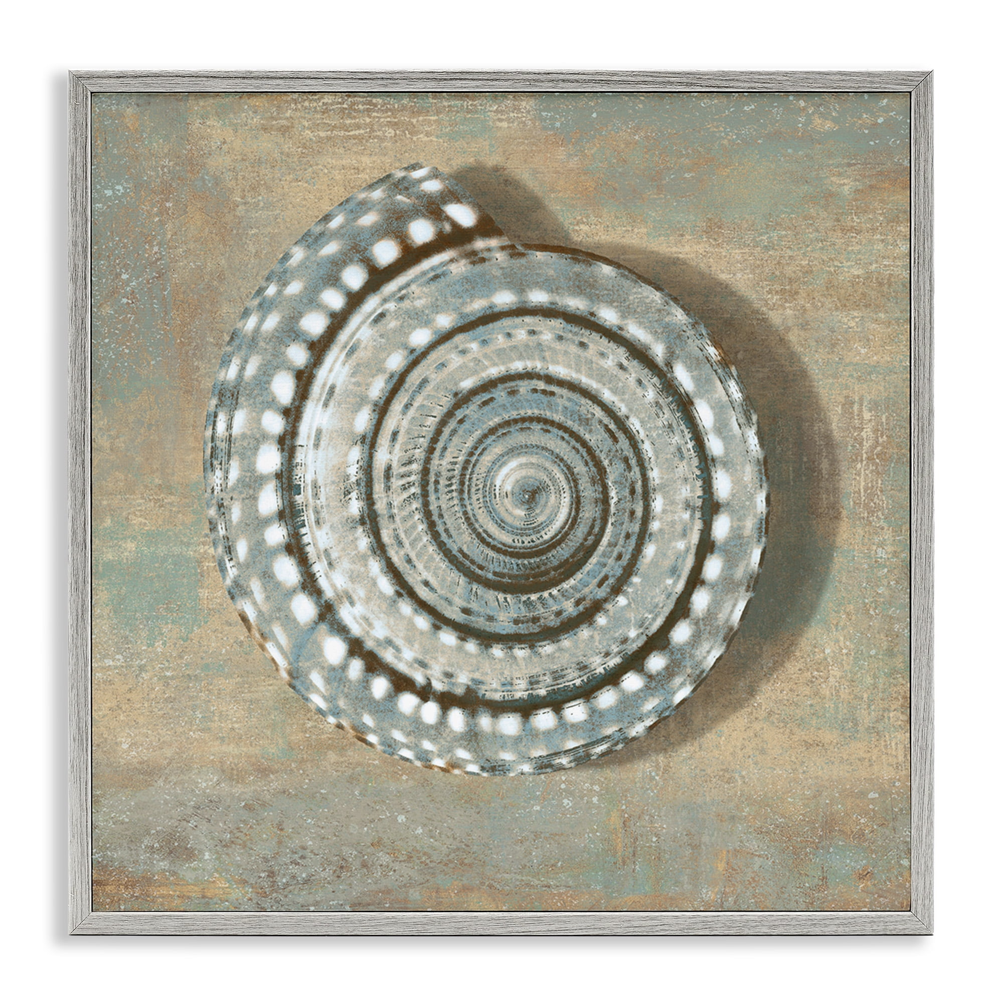 Stupell Industries Spiral Shell Beach Objects Design Nature Painting Gray Framed Art Print Wall Art, 17 x 17