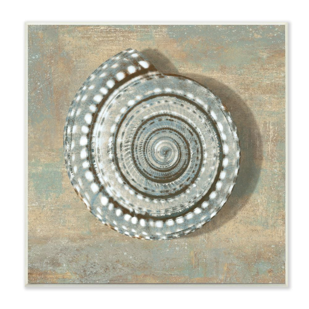 Stupell Industries Spiral Shell Beach Objects Design Wall Plaque by Christy McKee