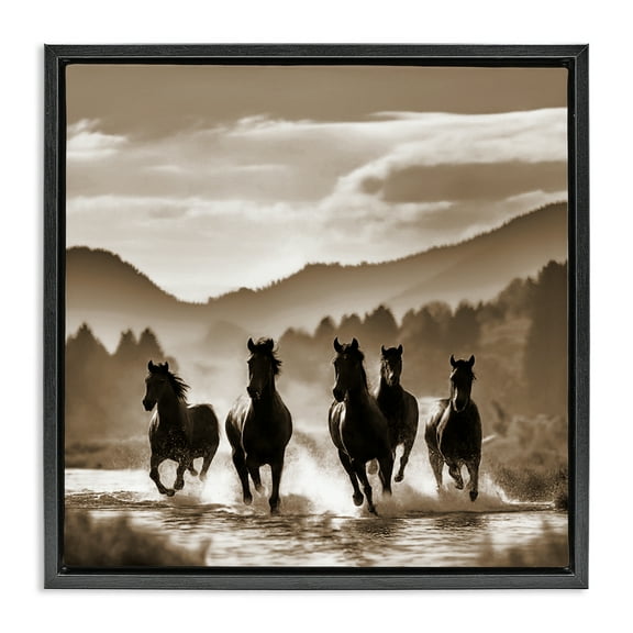 Stupell Industries Splashing Canyon Stallions Animals Painting Black Floater Framed Canvas Art Print Wall Art, 18 x 18