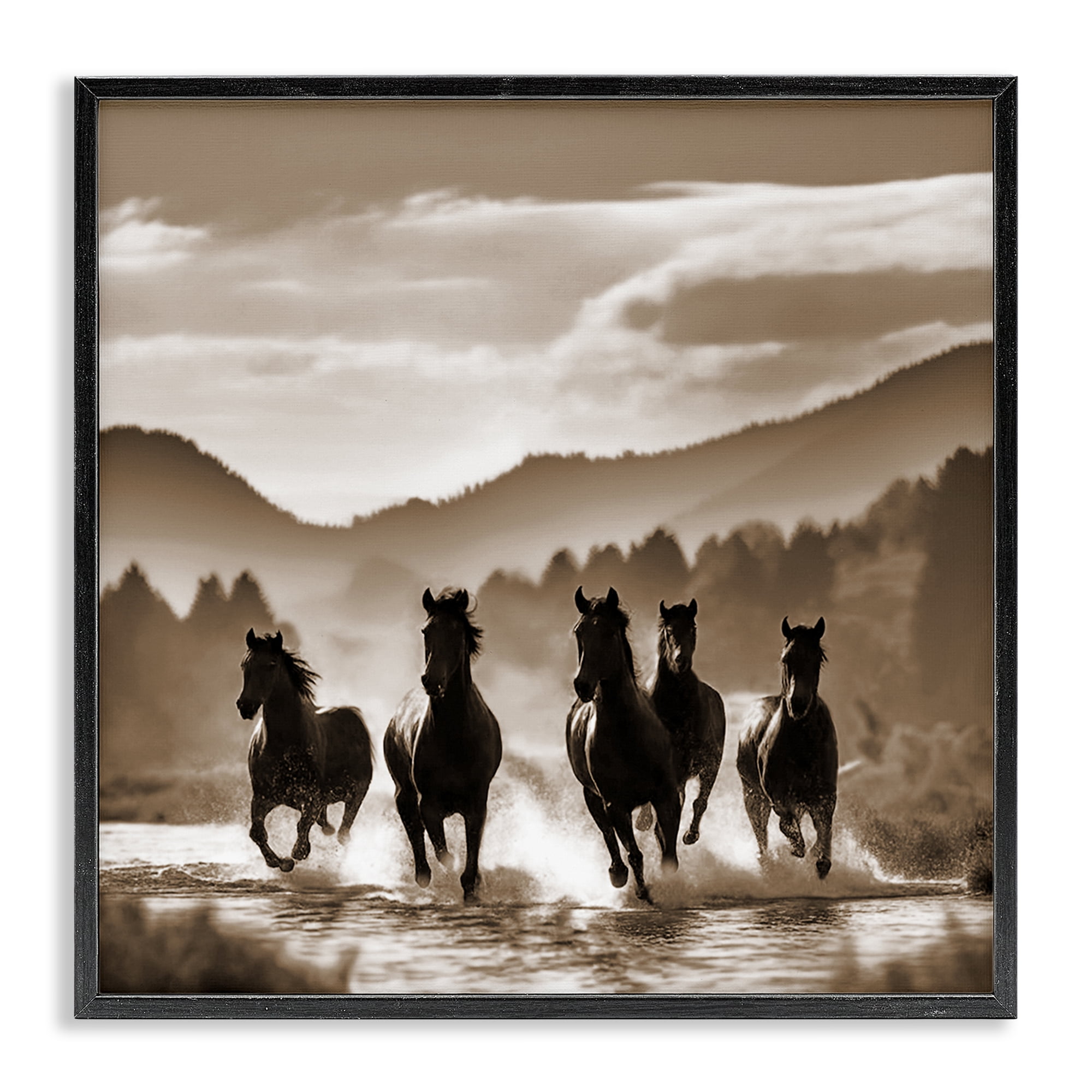 Stupell Industries Splashing Canyon Stallions Animals Painting Black Framed Art Print Wall Art, 24 x 24
