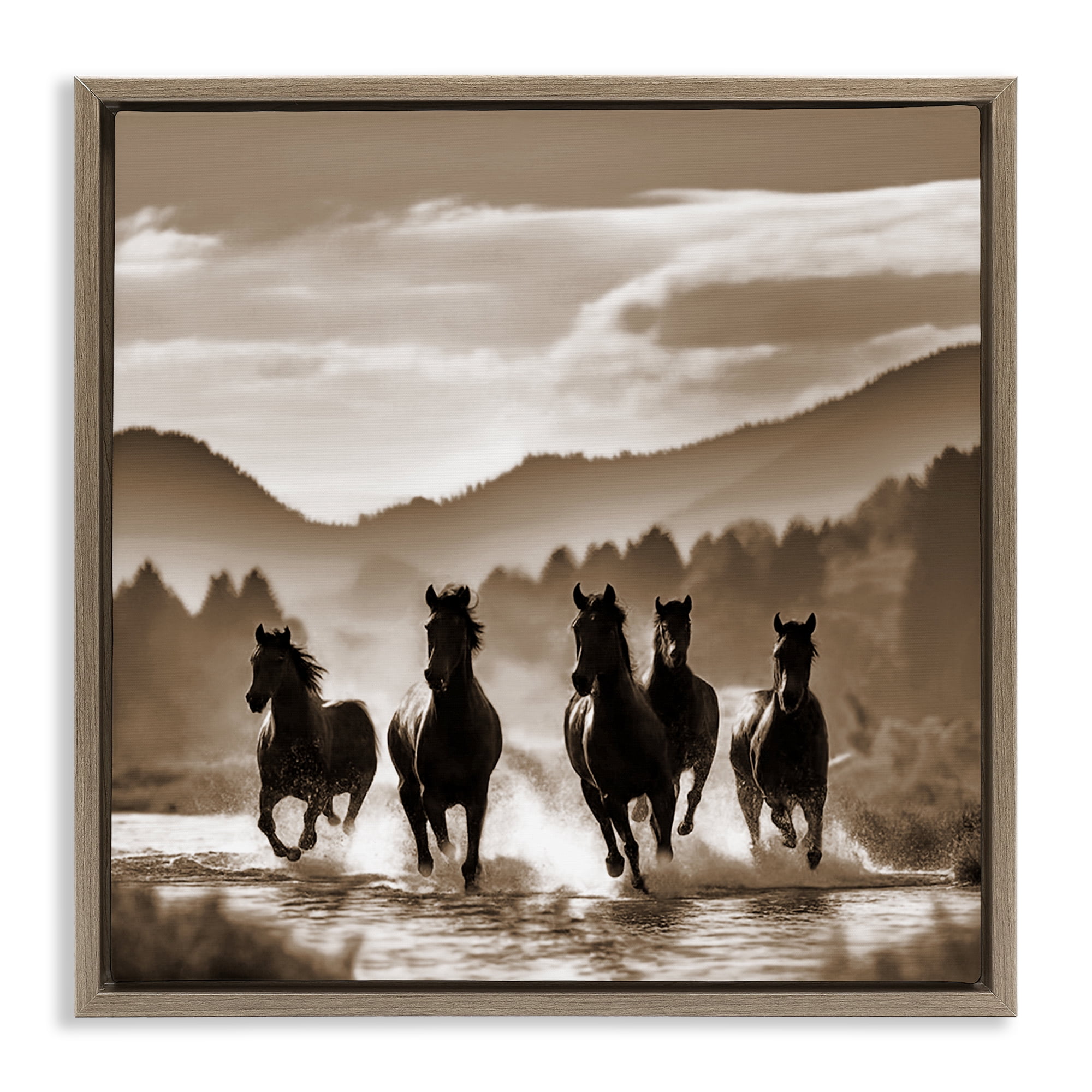 Stupell Industries Splashing Canyon Stallions Animals Painting Brown Floater Framed Canvas Art Print Wall Art, 18 x 18