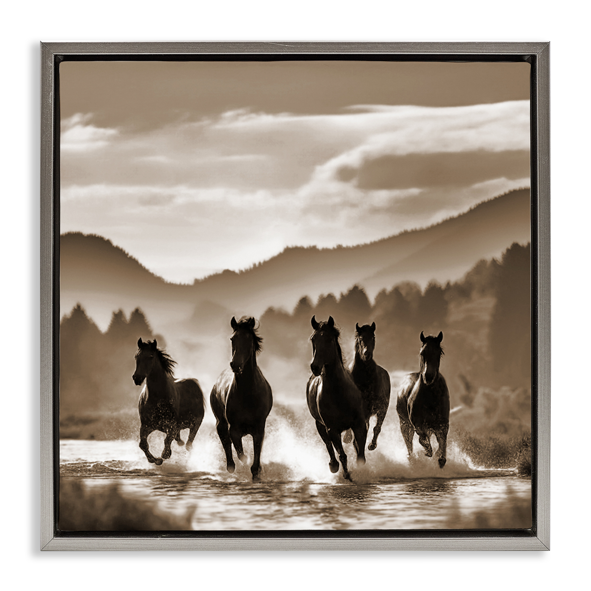 Stupell Industries Splashing Canyon Stallions Animals Painting Gray Floater Framed Canvas Art Print Wall Art, 25 x 25
