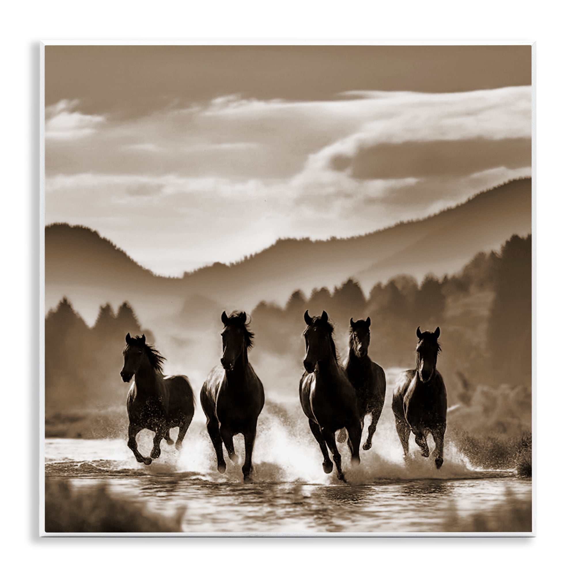 Stupell Industries Splashing Canyon Stallions Animals Painting Unframed Art Print Wall Art, 12 x 12
