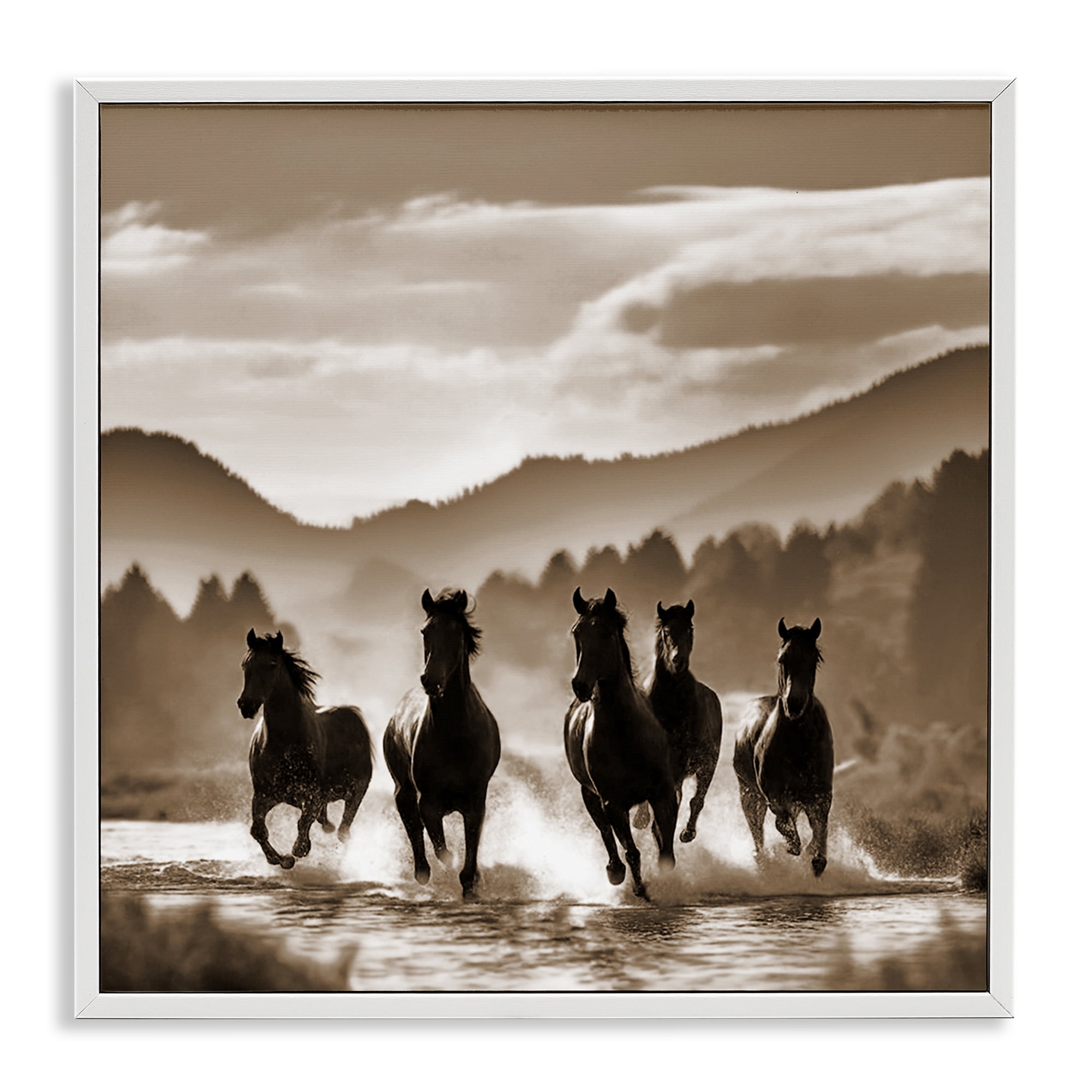 Stupell Industries Splashing Canyon Stallions Animals Painting White Framed Art Print Wall Art, 12 x 12