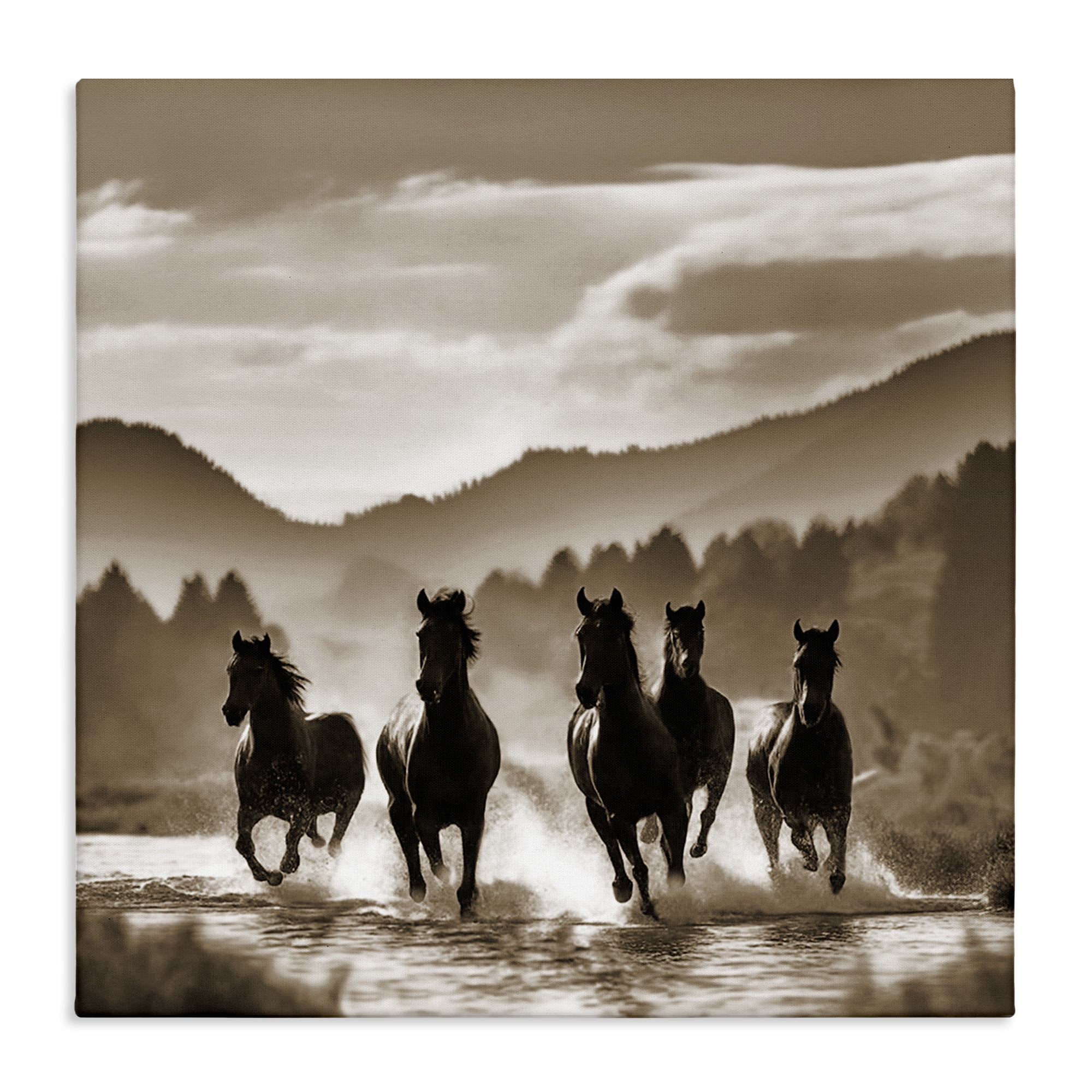 Stupell Industries Splashing Canyon Stallions Animals Painting Wrapped Canvas Art Print Wall Art, 17 x 17