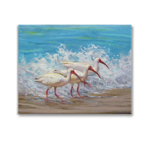 Stupell Industries Splashing Sea Birds Animals & Insects Painting Gallery Wrapped Canvas Art Print Wall Art, 20 x 16