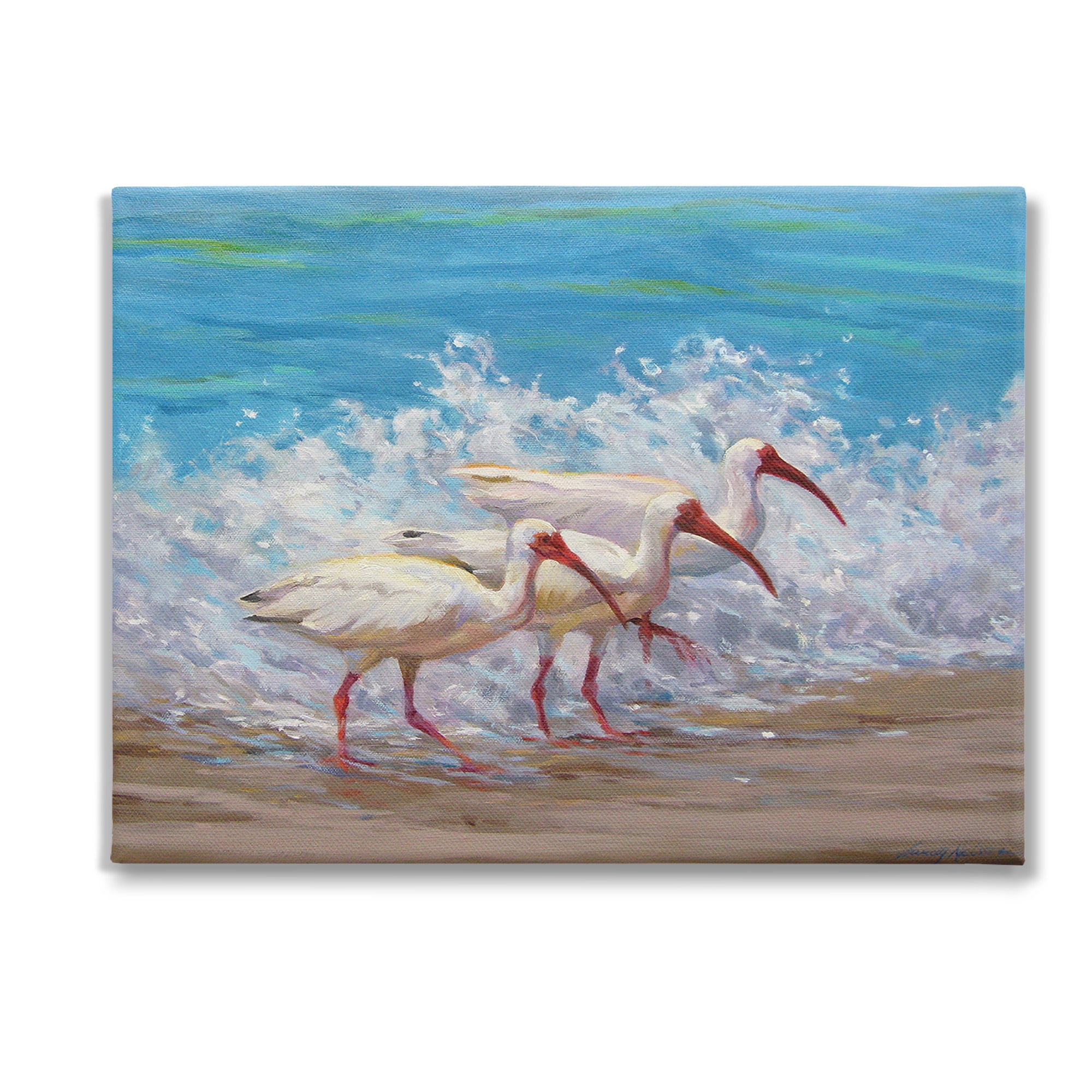 Stupell Industries Splashing Sea Birds Animals & Insects Painting Gallery Wrapped Canvas Art Print Wall Art, 48 x 36