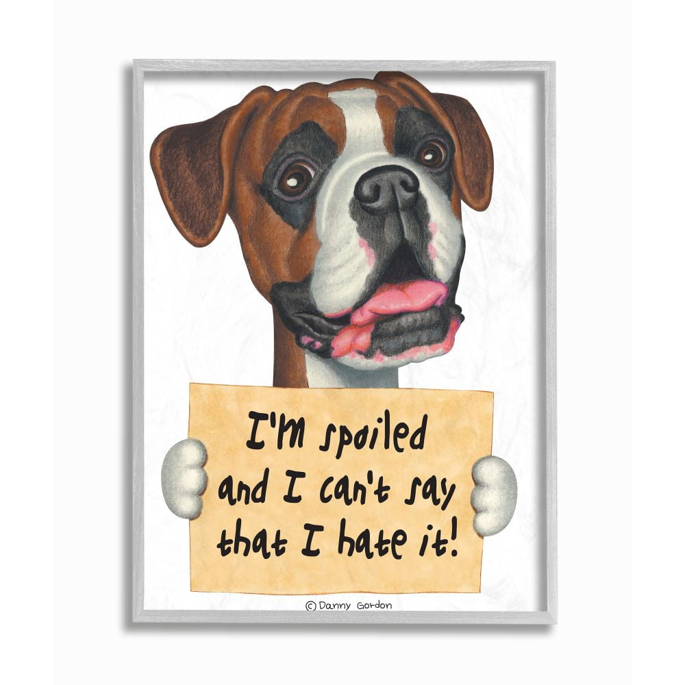 Stupell Industries Spoiled Boxer Dog Phrase Funny Home Pet Sign Framed Wall Art Design by Danny Gordan, 16" x 20", Gray Framed