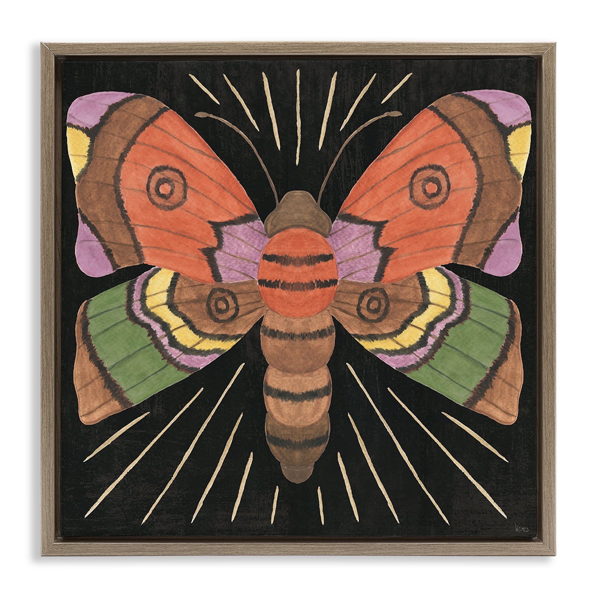 Stupell Industries Spooky Chic Moth Animals Painting Brown Floater Framed Canvas Art Print Wall Art, 18 x 18