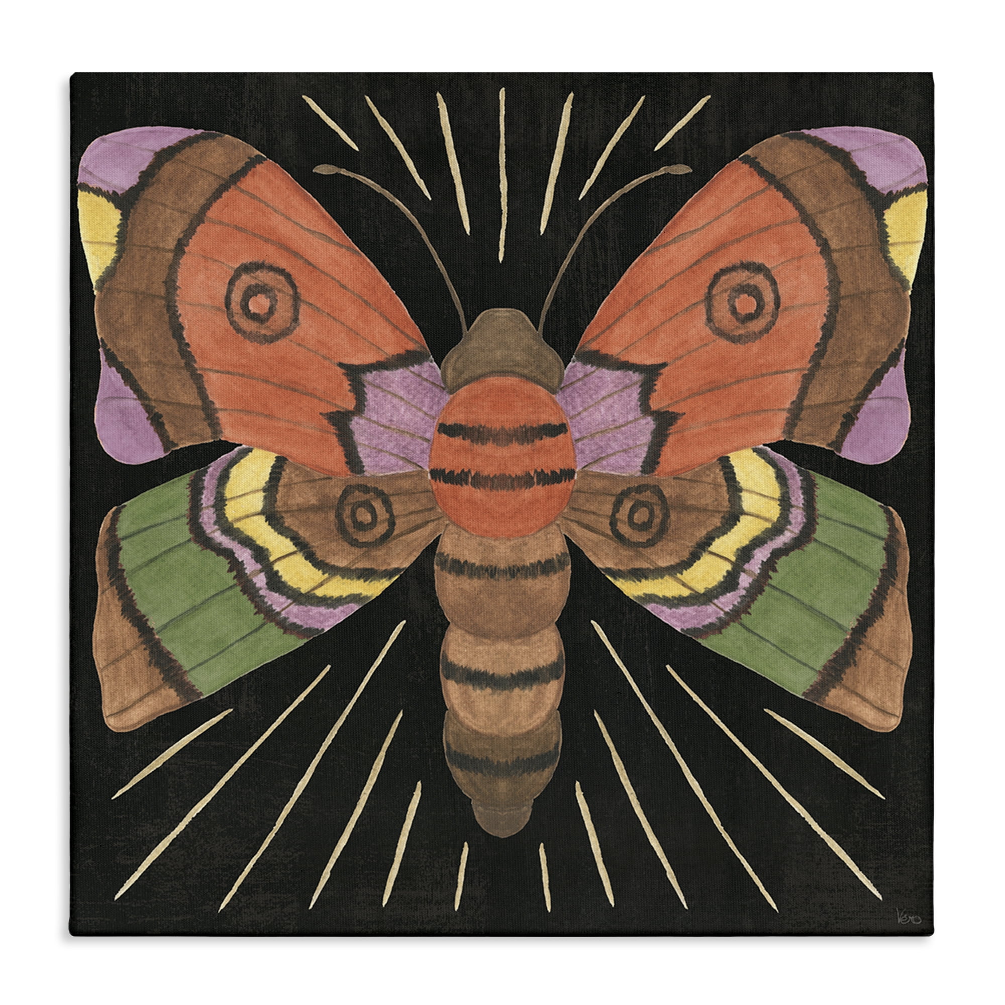Stupell Industries Spooky Chic Moth Animals Painting Wrapped Canvas Art Print Wall Art, 36 x 36