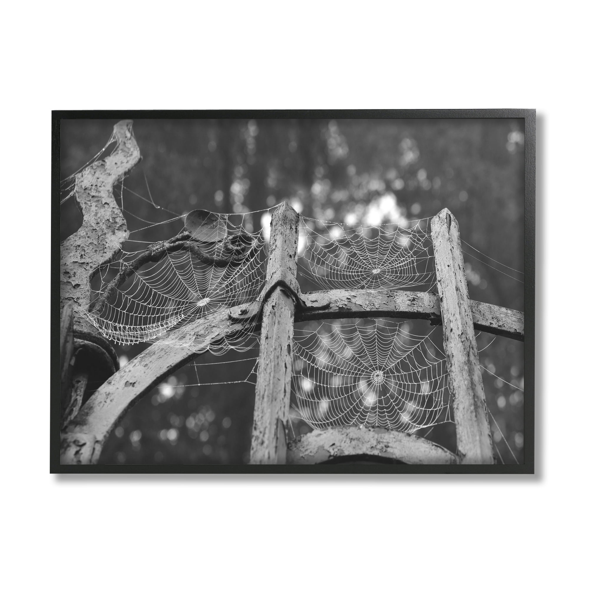 Stupell Industries Spooky Spider Webs Rustic Monochrome Gate Graphic Art Black Framed Art Print Wall Art, Design by Daphne Polselli