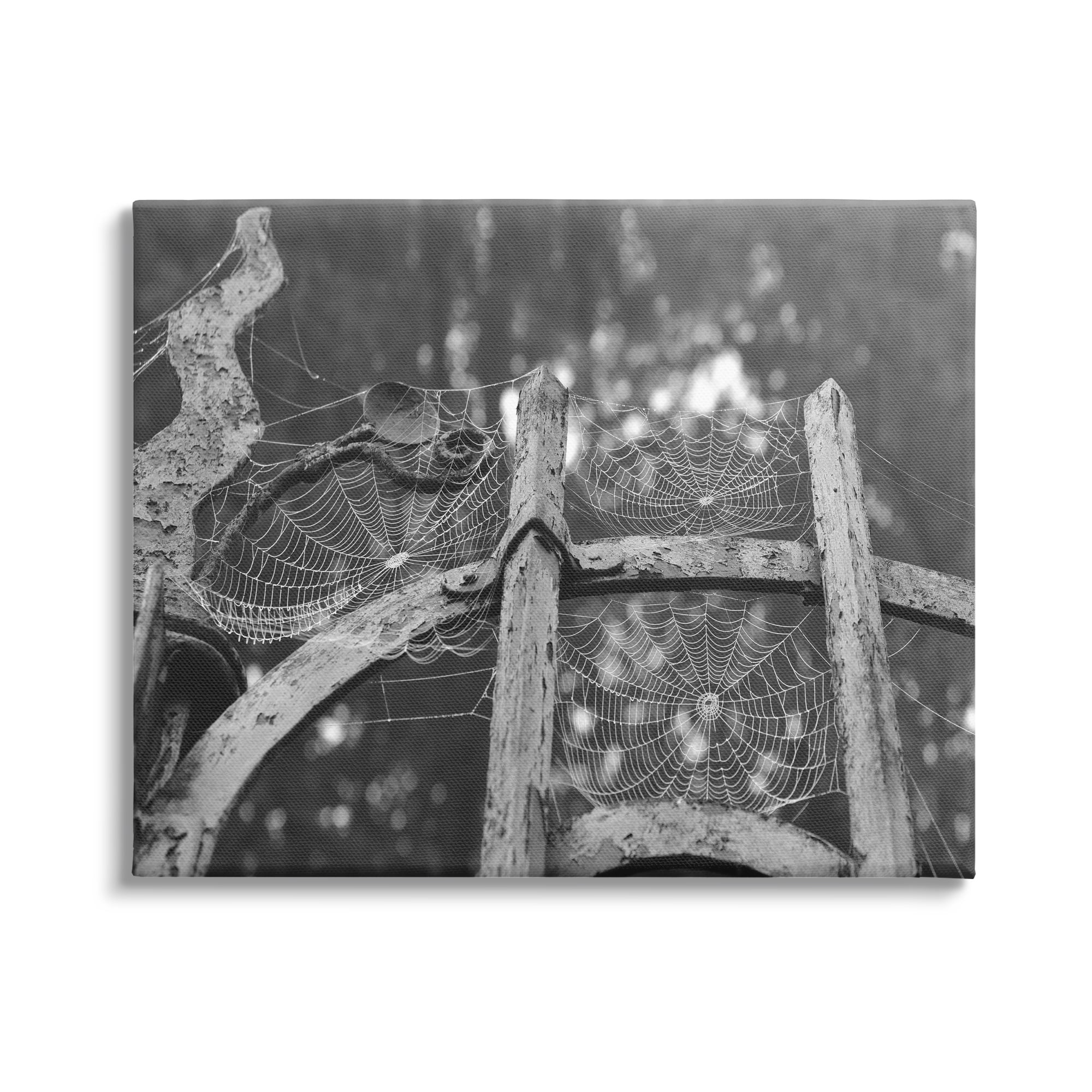 Stupell Industries Spooky Spider Webs Rustic Monochrome Gate Graphic Art Gallery Wrapped Canvas Print Wall Art, Design by Daphne Polselli