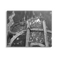 thumbnail image 1 of Stupell Industries Spooky Spider Webs Rustic Monochrome Gate Graphic Art Gallery Wrapped Canvas Print Wall Art, Design by Daphne Polselli, 1 of 7