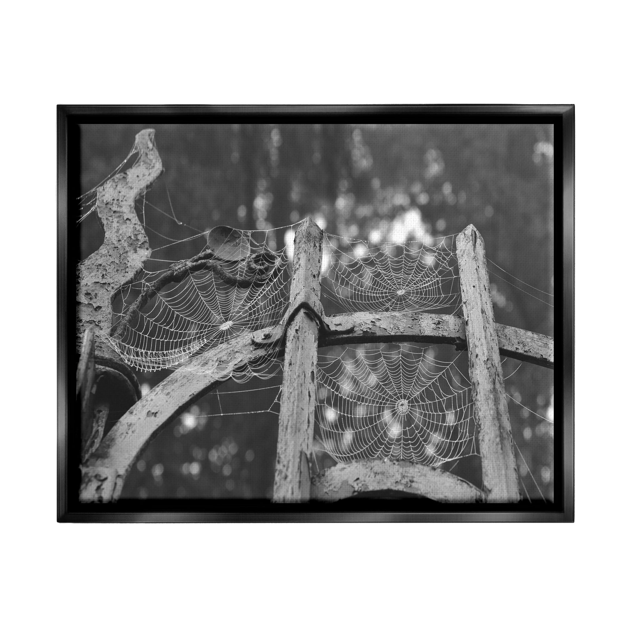 Stupell Industries Spooky Spider Webs Rustic Monochrome Gate Graphic Art Jet Black Floating Framed Canvas Print Wall Art, Design by Daphne Polselli