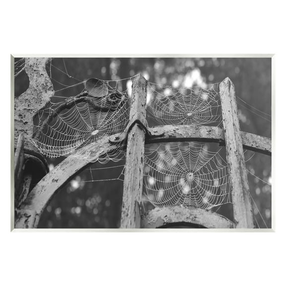 Stupell Industries Spooky Spider Webs Rustic Monochrome Gate Graphic Art Unframed Art Print Wall Art, Design by Daphne Polselli