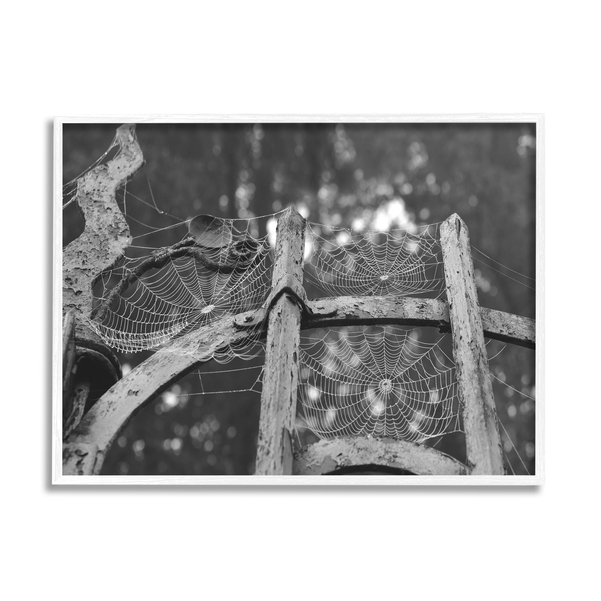 Stupell Industries Spooky Spider Webs Rustic Monochrome Gate Graphic Art White Framed Art Print Wall Art, Design by Daphne Polselli