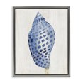 thumbnail image 1 of Stupell Industries Coastal Spotted Blue Cowrie Shell Gray Floating Frame Canvas Art, 17 x 21, by Susan Arnot, 1 of 7