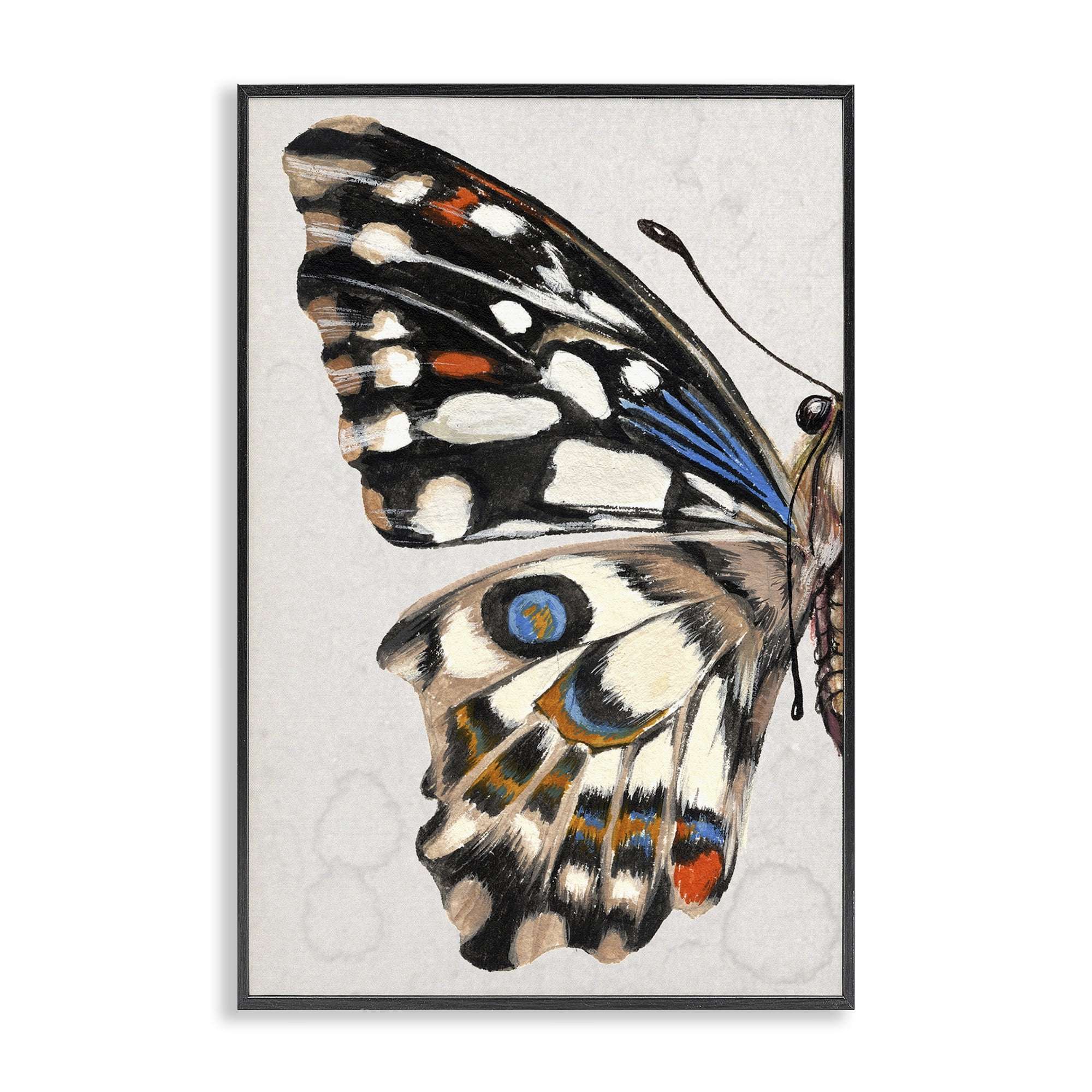 Stupell Industries Spotted Butterfly Wing Animals & Insects Painting Black Framed Art Print Wall Art, 16 x 24