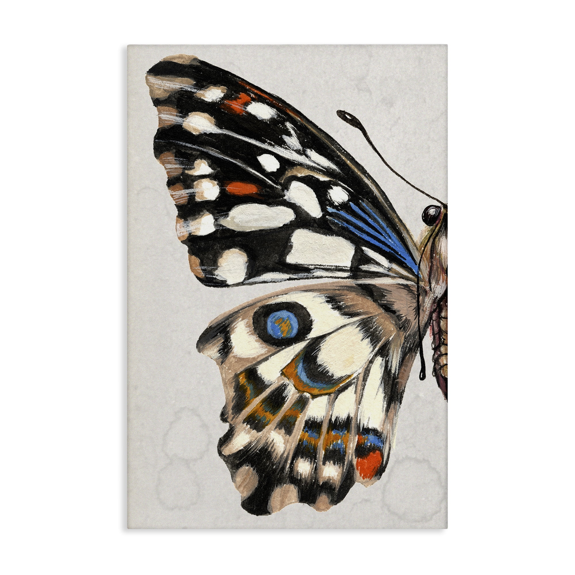 Stupell Industries Spotted Butterfly Wing Animals & Insects Painting Gallery Wrapped Canvas Art Print Wall Art, 24 x 36