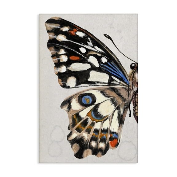 Stupell Industries Spotted Butterfly Wing Animals & Insects Painting Gallery Wrapped Canvas Art Print Wall Art, 30 x 45