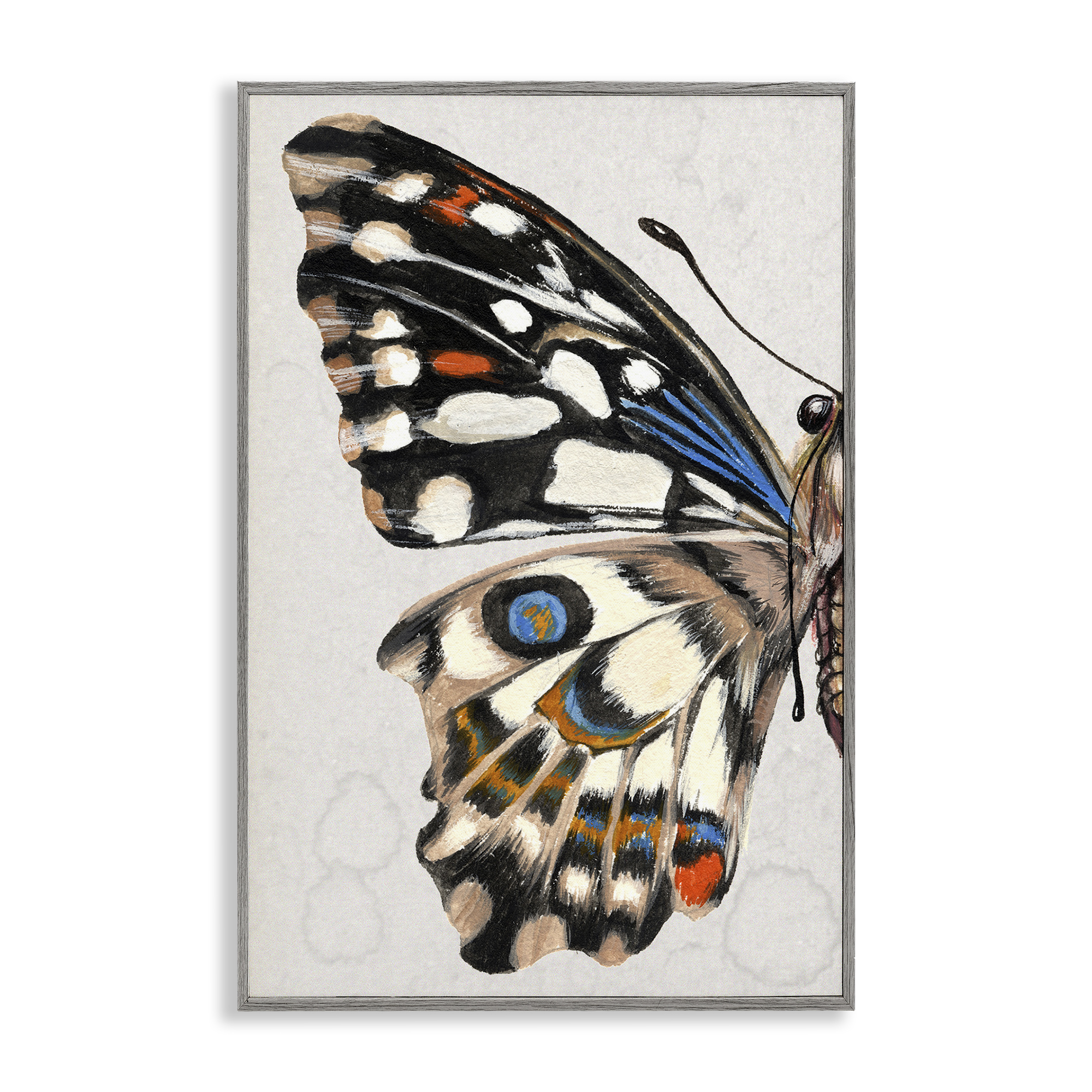 Stupell Industries Spotted Butterfly Wing Animals & Insects Painting Gray Framed Art Print Wall Art, 12 x 18