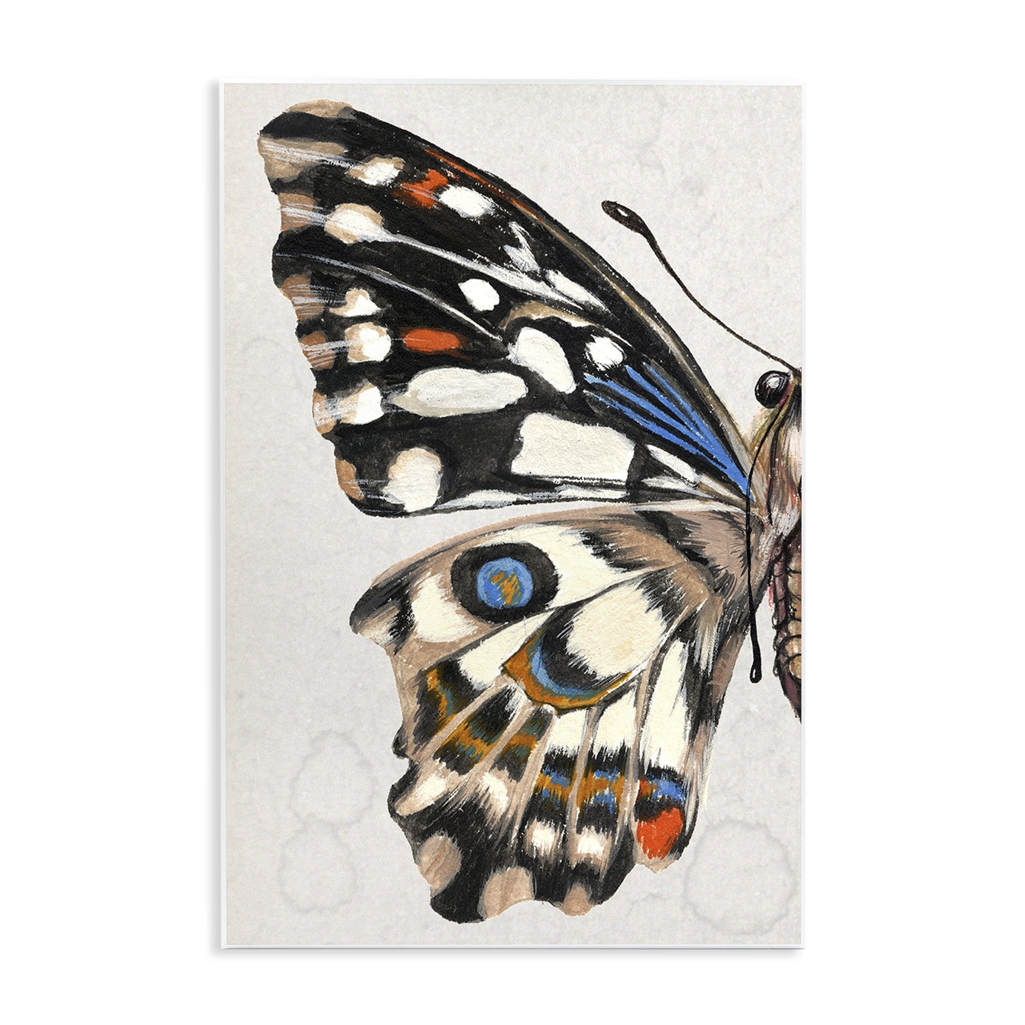 Stupell Industries Spotted Butterfly Wing Animals & Insects Painting Unframed Art Print Wall Art, 13 x 19