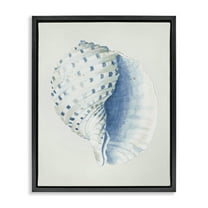 Stupell Industries Spotted Conch Shell Animals & Insects Painting Black Floater Framed Canvas Art Print Wall Art, 17 x 21