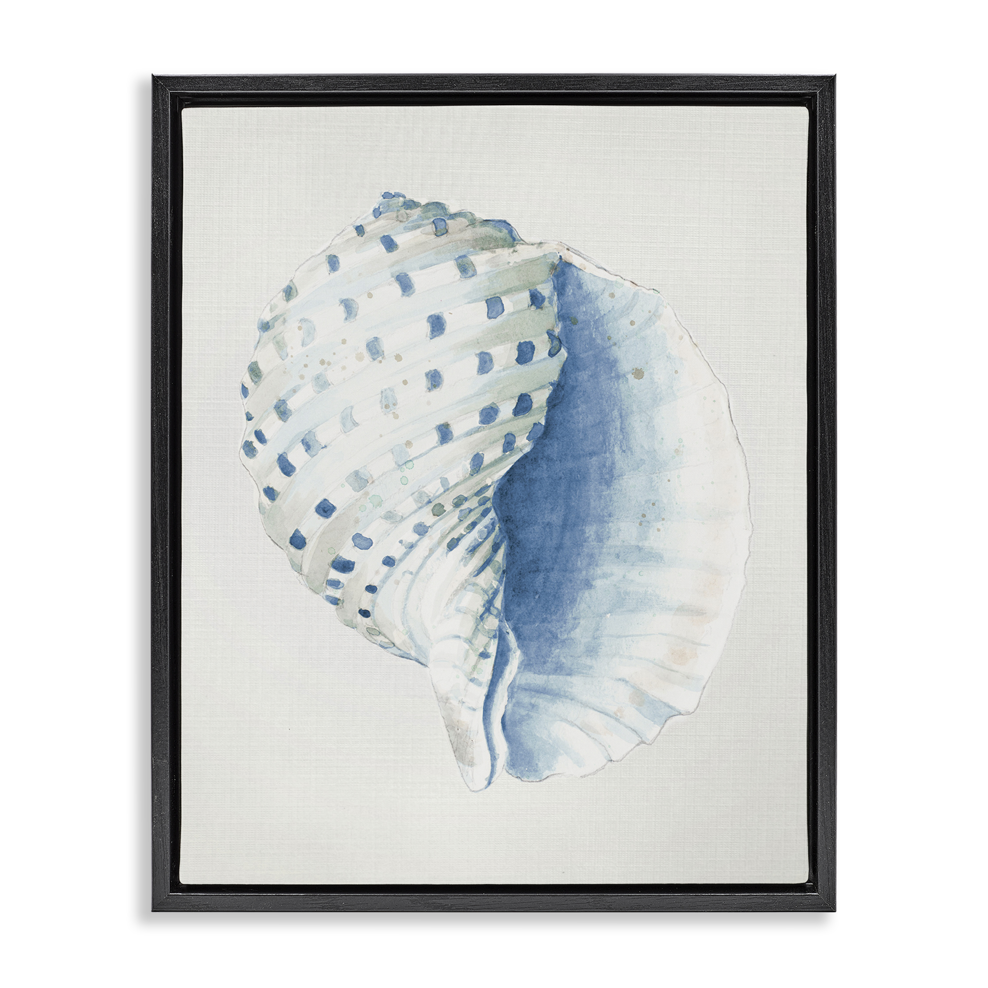Stupell Industries Spotted Conch Shell Animals & Insects Painting Black Floater Framed Canvas Art Print Wall Art, 25 x 31