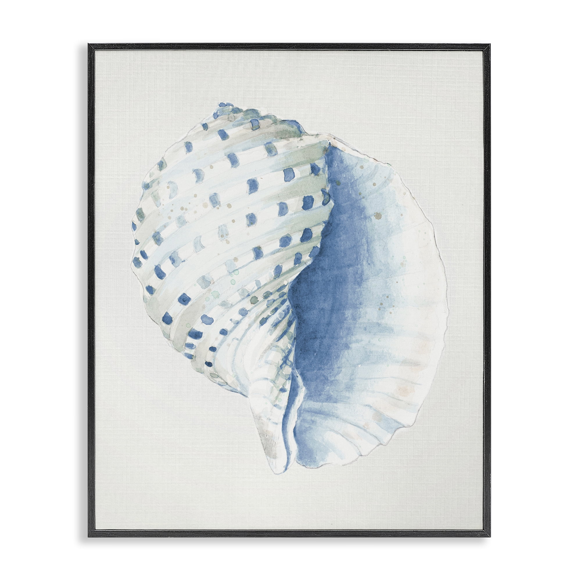 Stupell Industries Spotted Conch Shell Animals & Insects Painting Black Framed Art Print Wall Art, 16 x 20