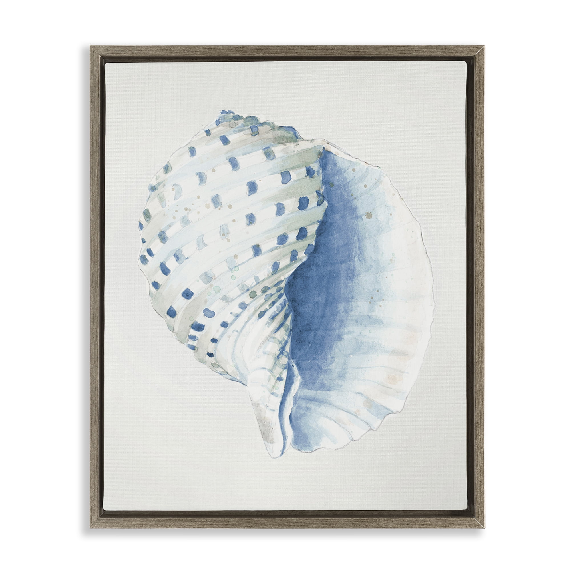 Stupell Industries Spotted Conch Shell Animals & Insects Painting Brown Floater Framed Canvas Art Print Wall Art, 25 x 31