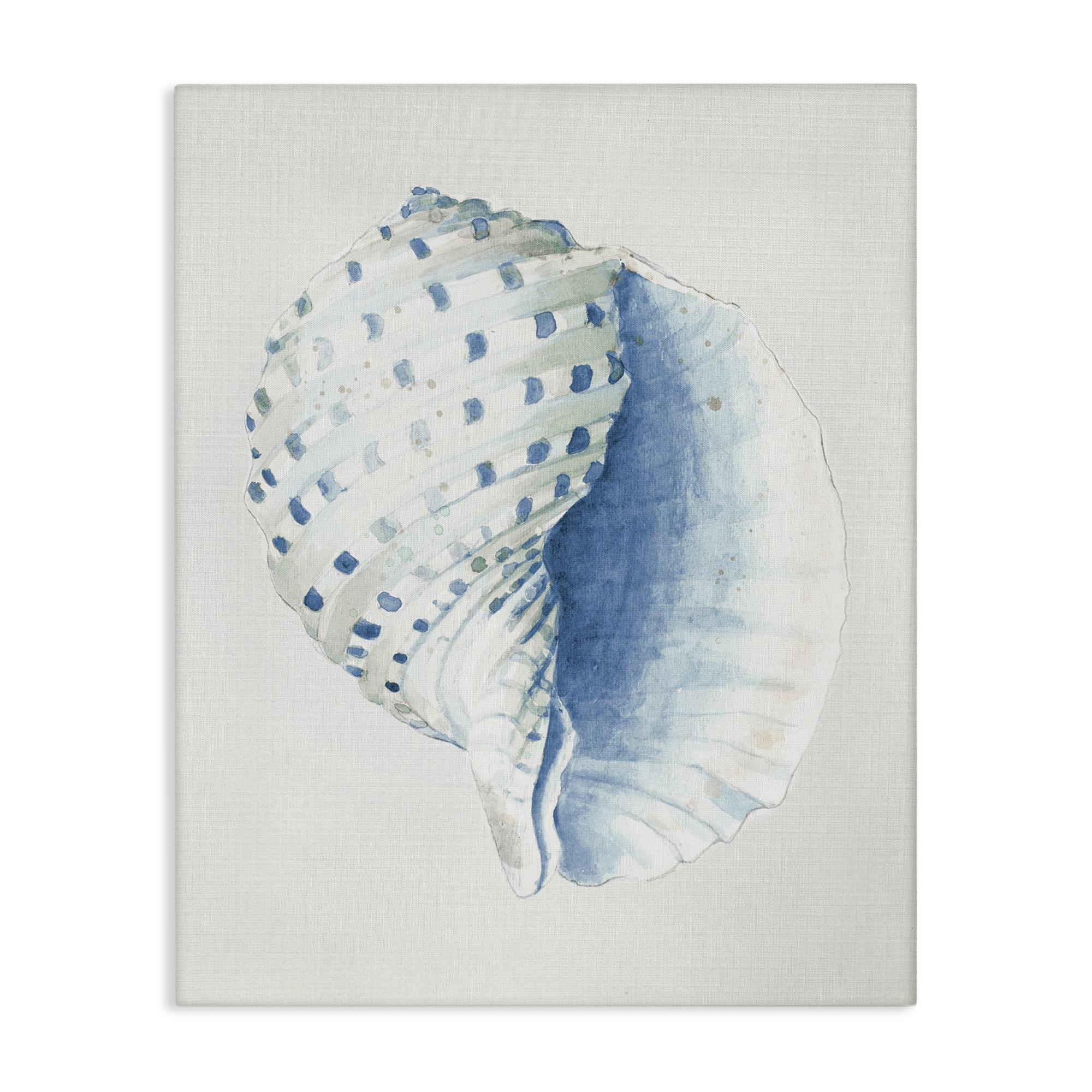 Stupell Industries Spotted Conch Shell Animals & Insects Painting Gallery Wrapped Canvas Art Print Wall Art, 36 x 48