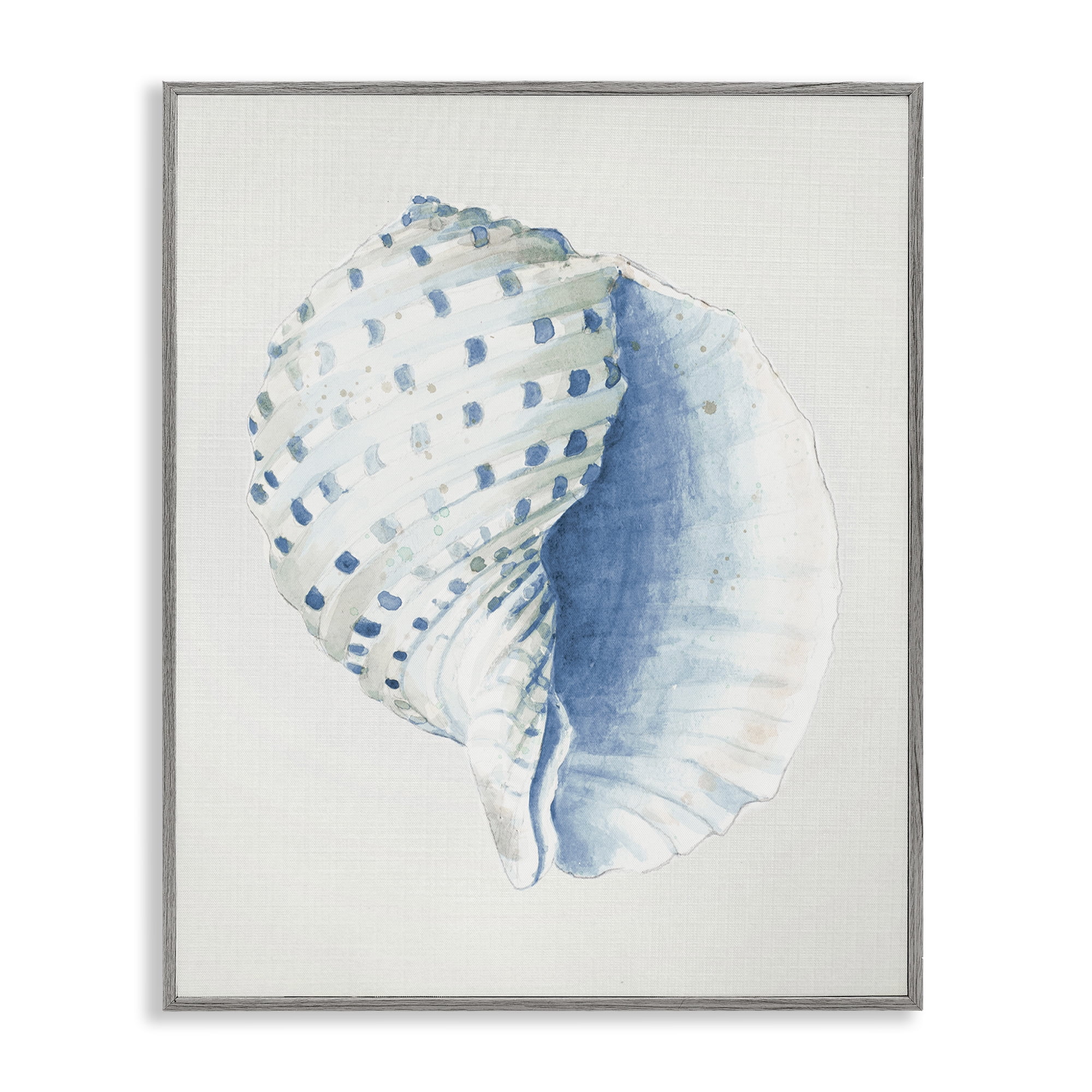 Stupell Industries Spotted Conch Shell Animals & Insects Painting Gray Framed Art Print Wall Art, 24 x 30