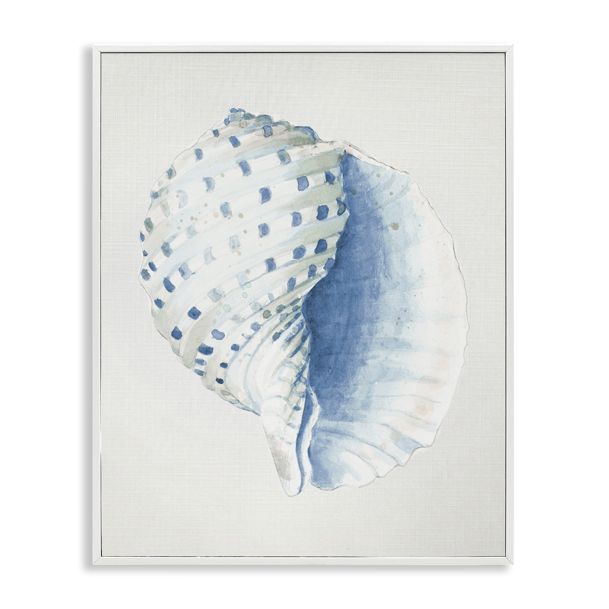 Stupell Industries Spotted Conch Shell Animals & Insects Painting White Framed Art Print Wall Art, 11 x 14