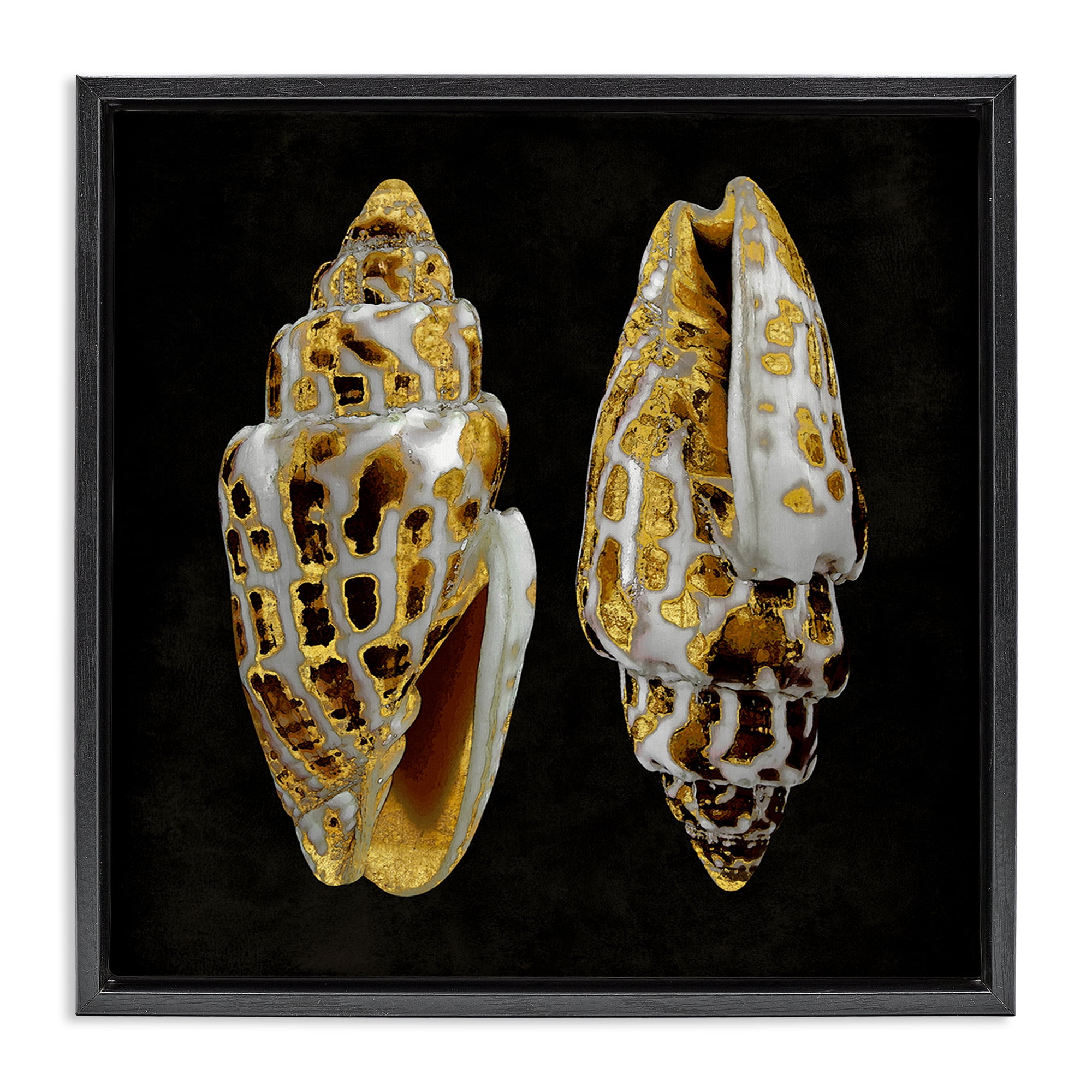 Stupell Industries Spotted Cowrie Shells Nautical & Beach Painting Black Floater Framed Canvas Art Print Wall Art, 25 x 25