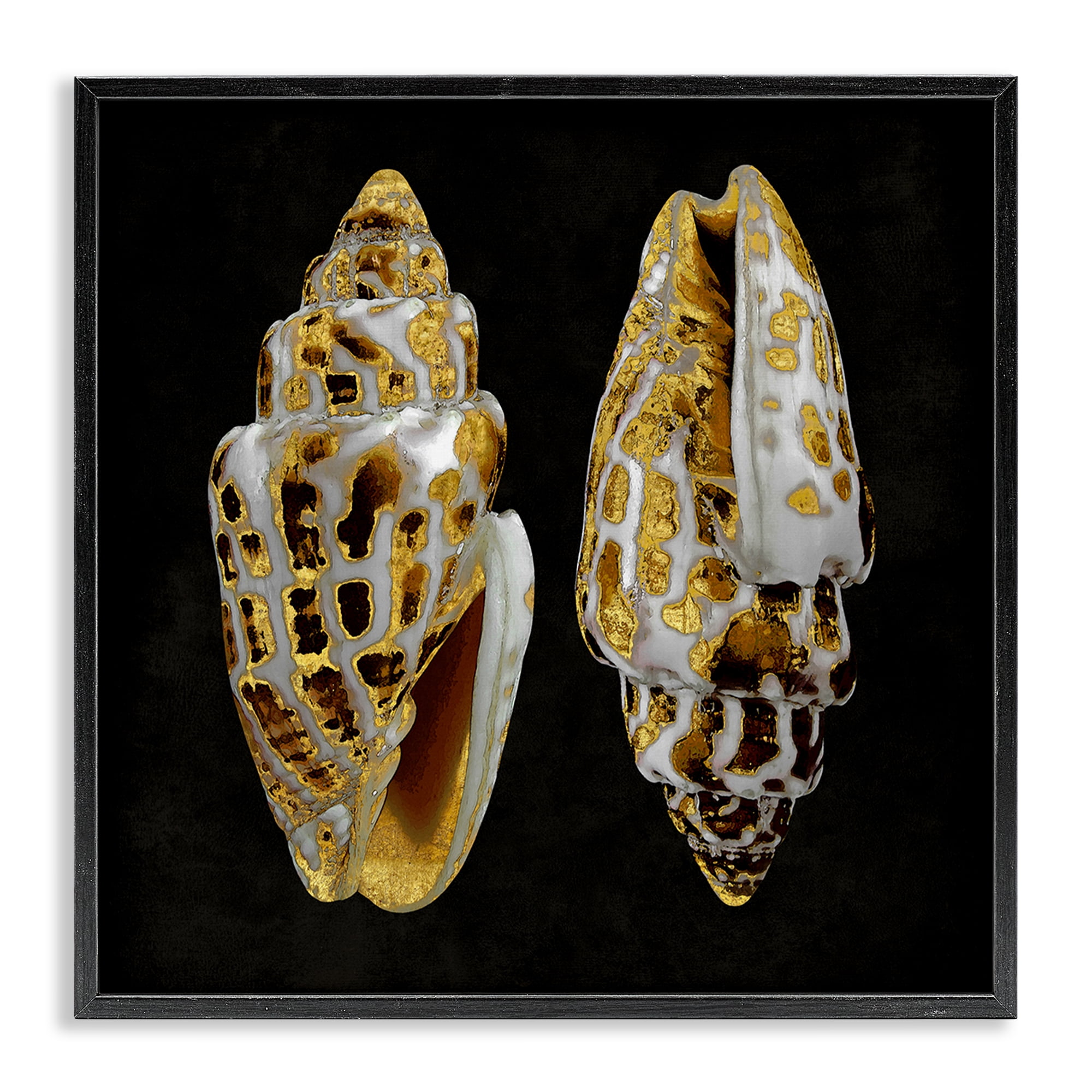 Stupell Industries Spotted Cowrie Shells Nautical & Beach Painting Black Framed Art Print Wall Art, 17 x 17