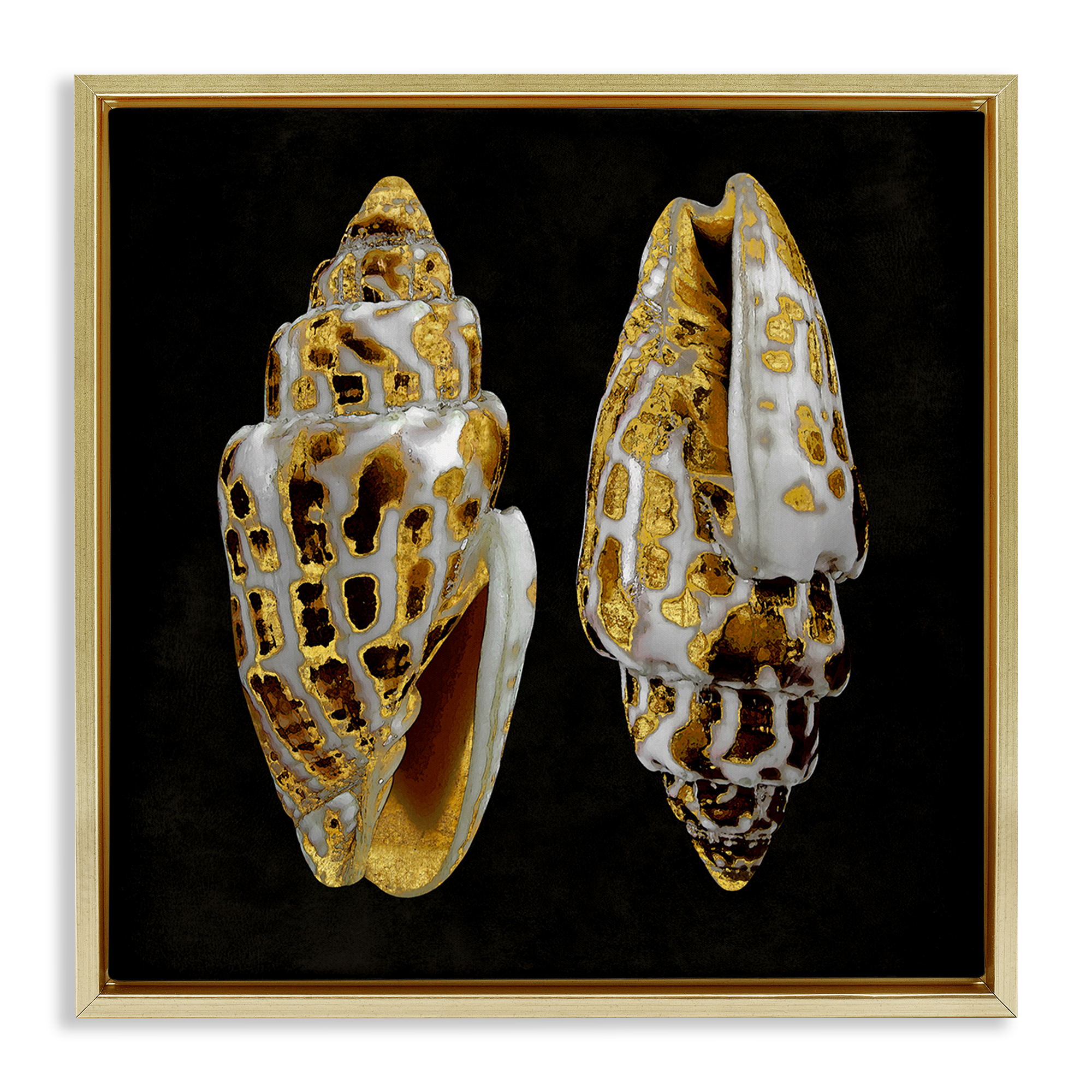 Stupell Industries Spotted Cowrie Shells Nautical & Beach Painting Gold Floater Framed Canvas Art Print Wall Art, 25 x 25