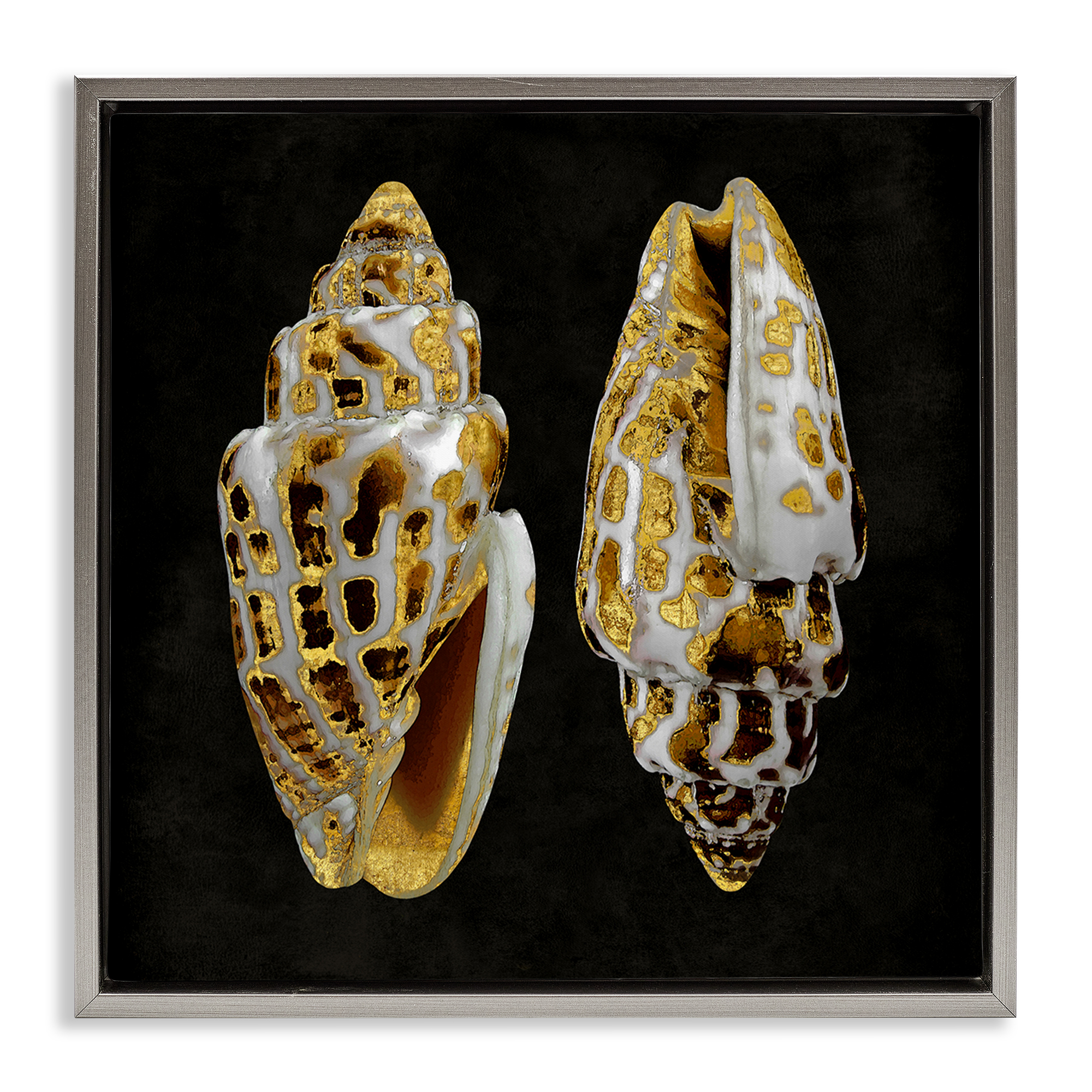 Stupell Industries Spotted Cowrie Shells Nautical & Beach Painting Gray Floater Framed Canvas Art Print Wall Art, 18 x 18