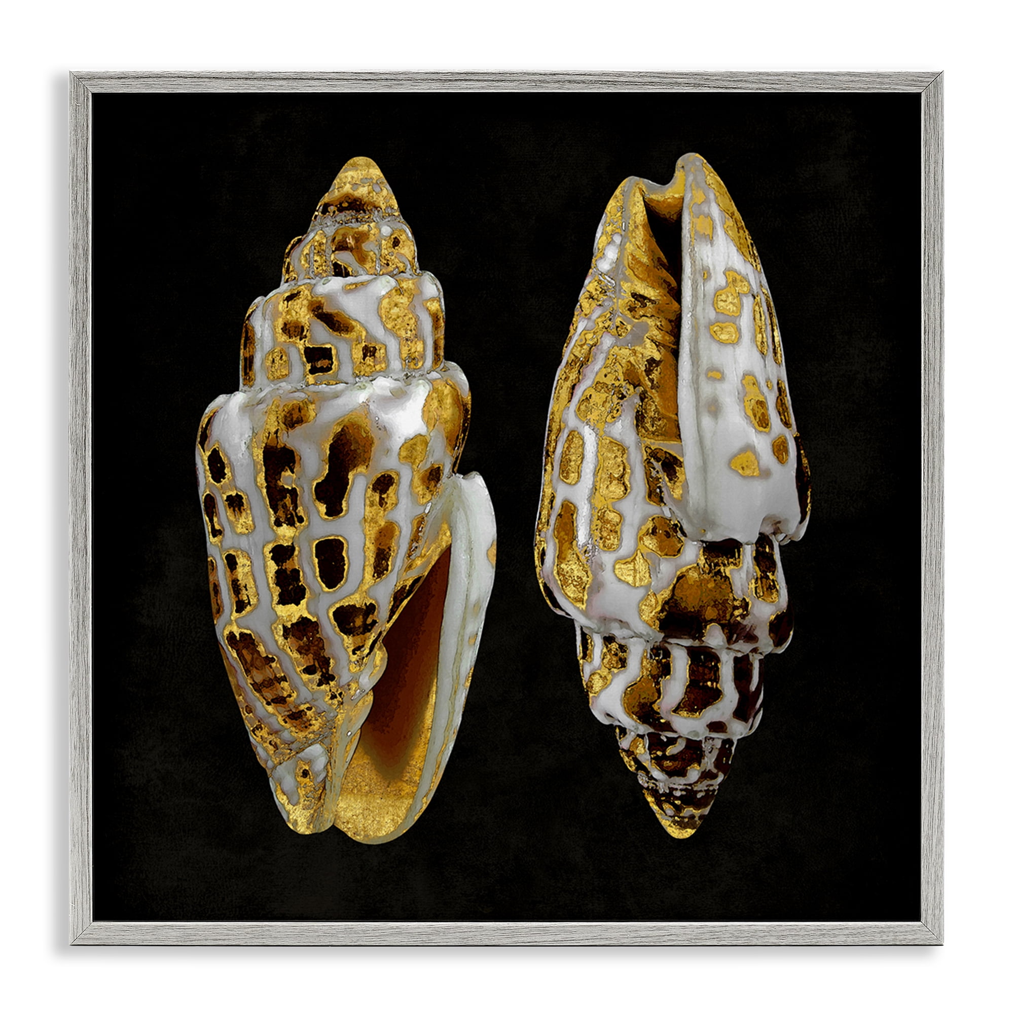 Stupell Industries Spotted Cowrie Shells Nautical & Beach Painting Gray Framed Art Print Wall Art, 24 x 24