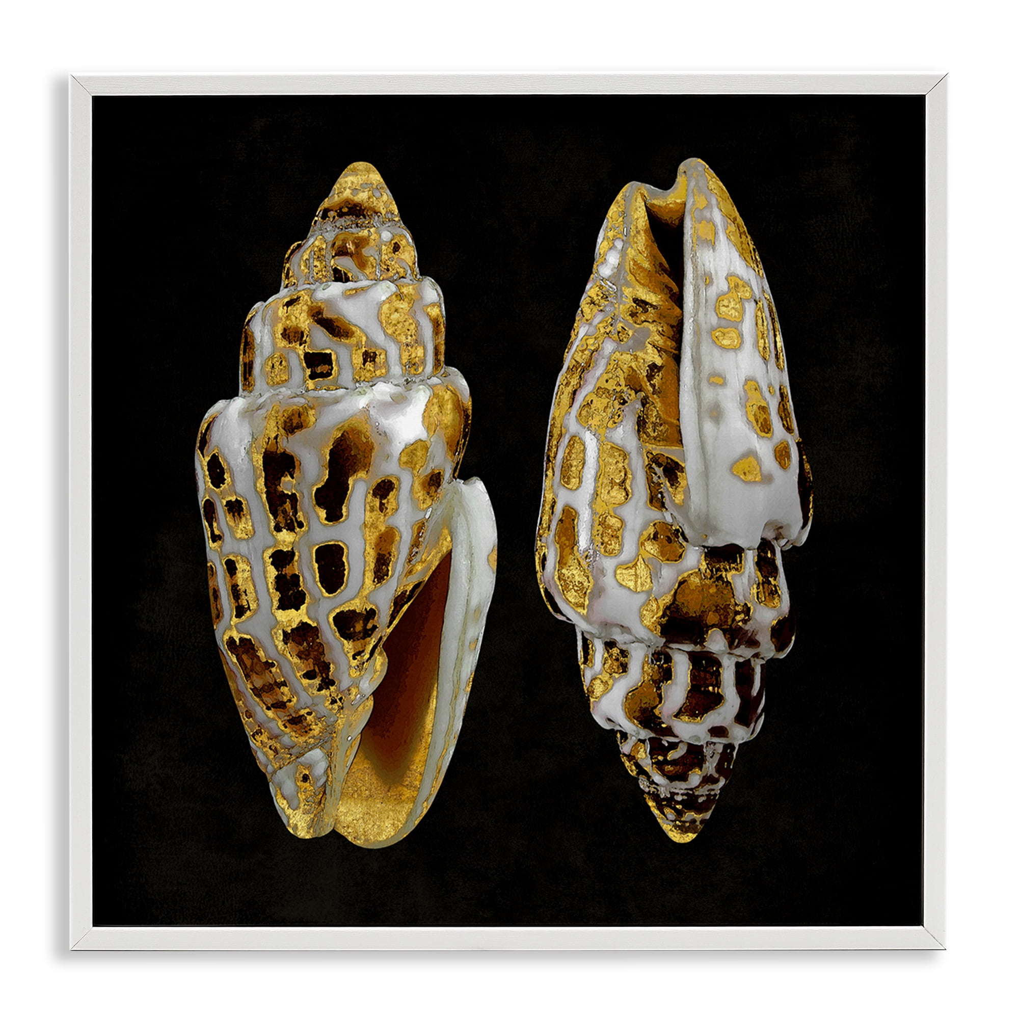 Stupell Industries Spotted Cowrie Shells Nautical & Beach Painting White Framed Art Print Wall Art, 17 x 17